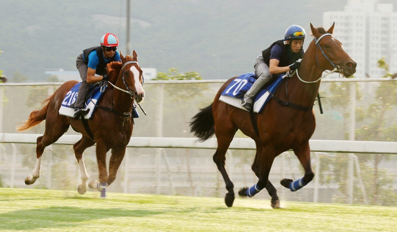 Sky Field (left) gallops at Sha Tin.