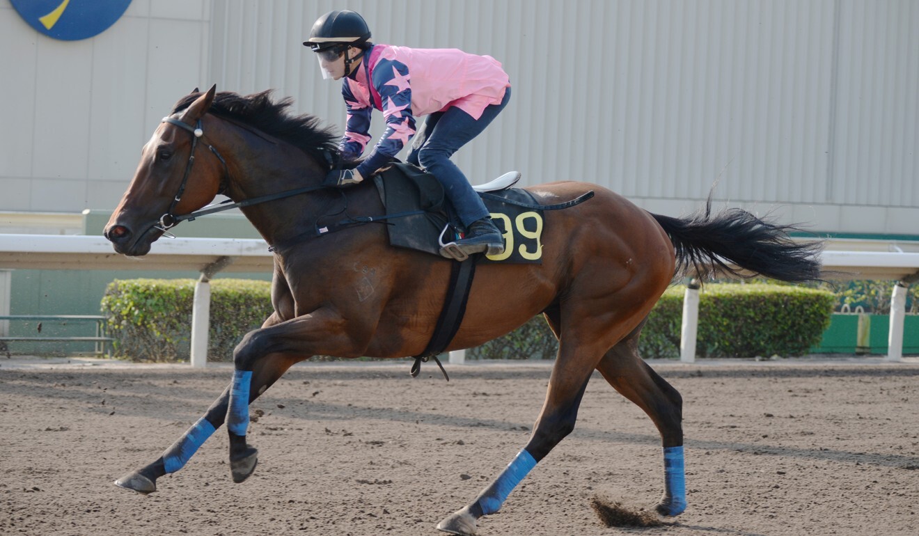 Chicken Dance trials at Sha Tin recently.