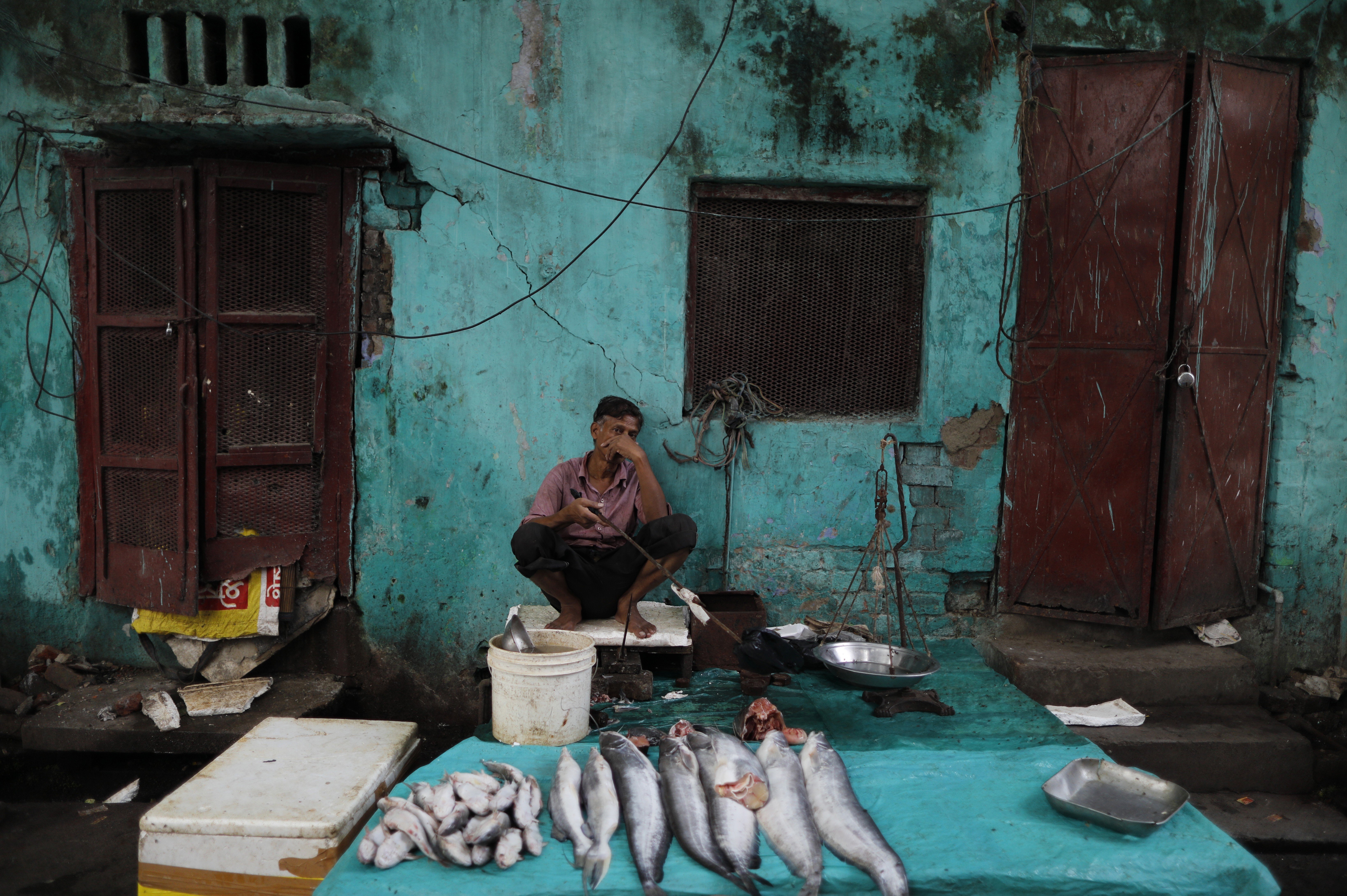 A fish vendor sits at his roadside stall in Lucknow, India, on September 12. Job creation will be an enormous challenge as India struggles to find normalcy again. Photo: AP