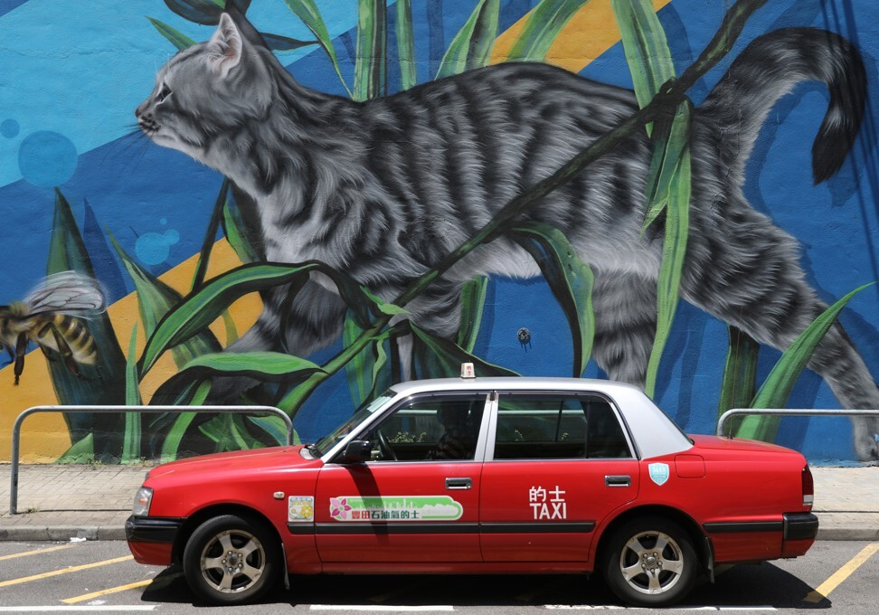 Is Hong Kong the best environment for keeping pets? Photo: Nora Tam