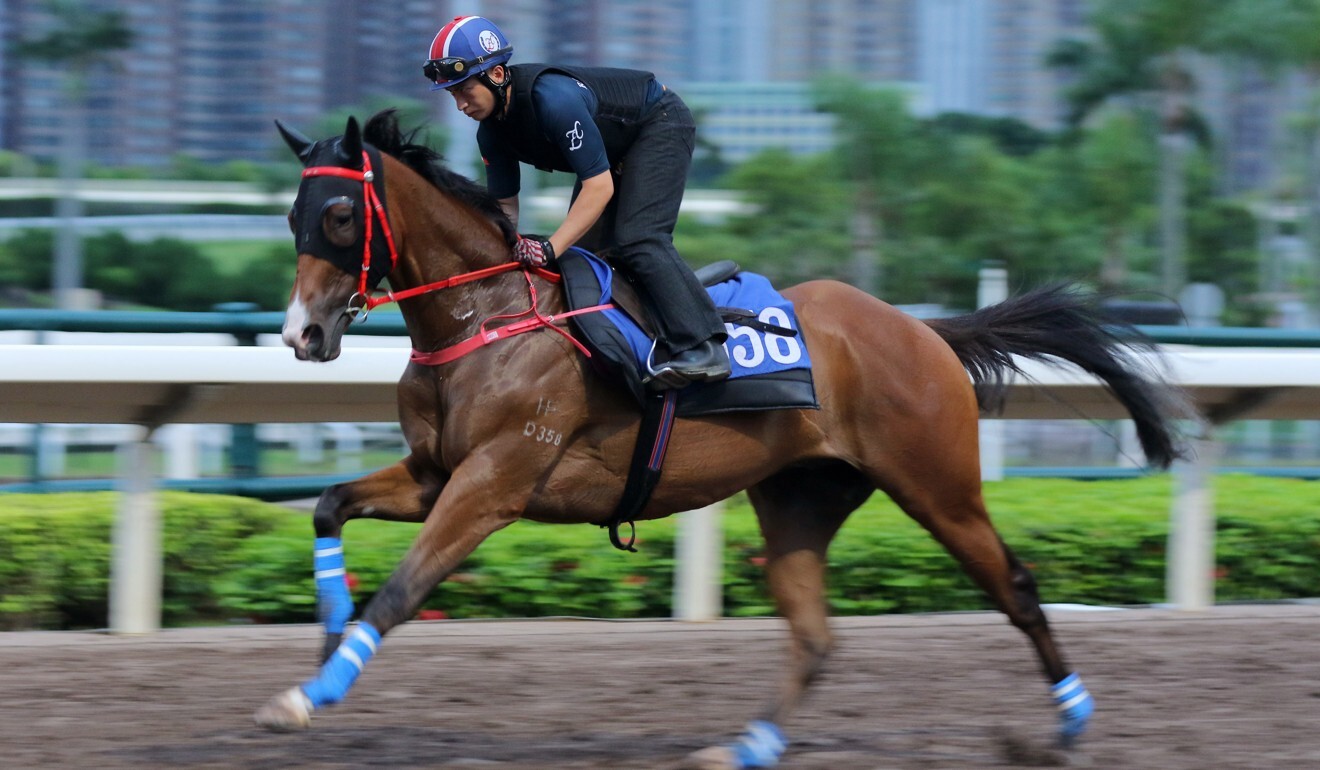 Winning Dreamer gallops at Sha Tin on Thursday.