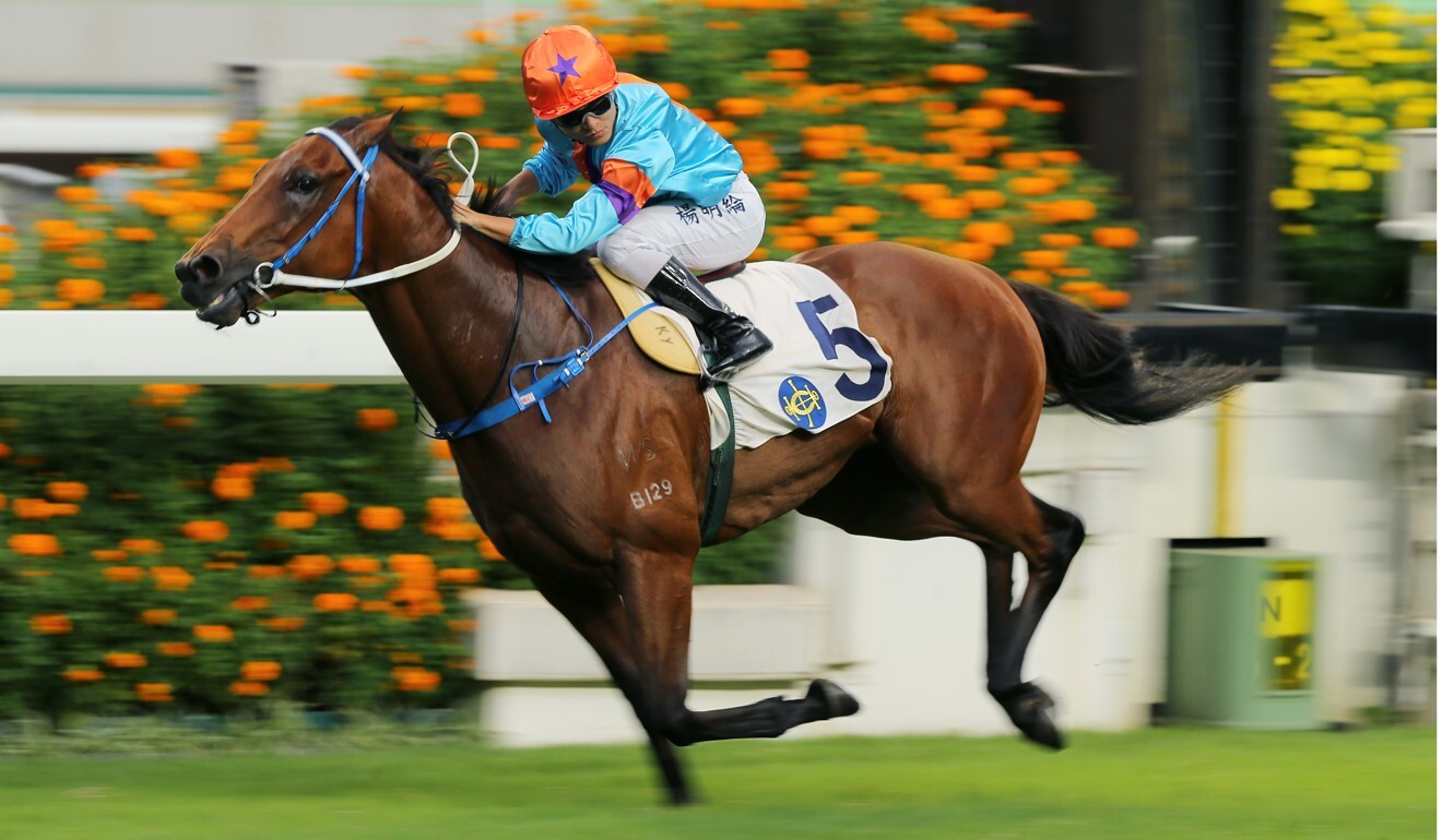 Keith Yeung pilots Dances With Dragon to victory in the Group Three Premier Plate.