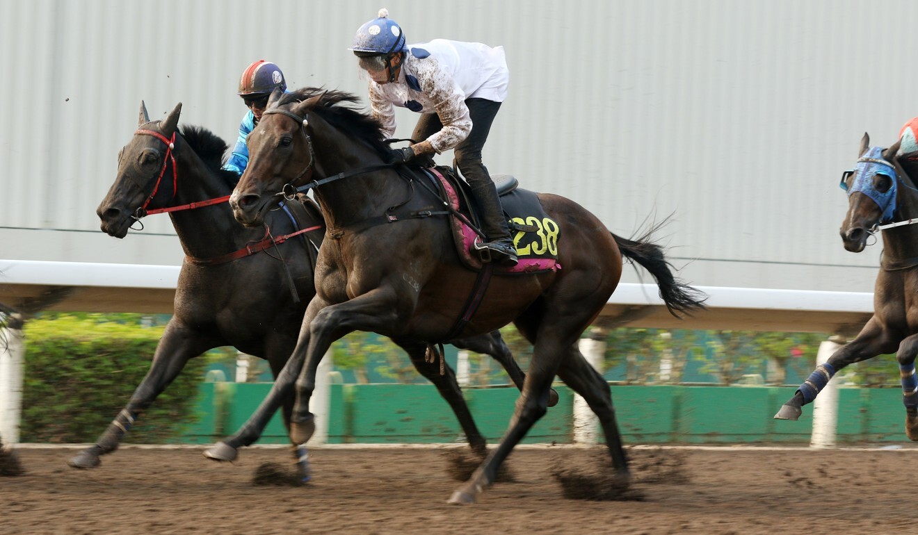 Vincent Ho gives Golden Sixty a quiet trial.