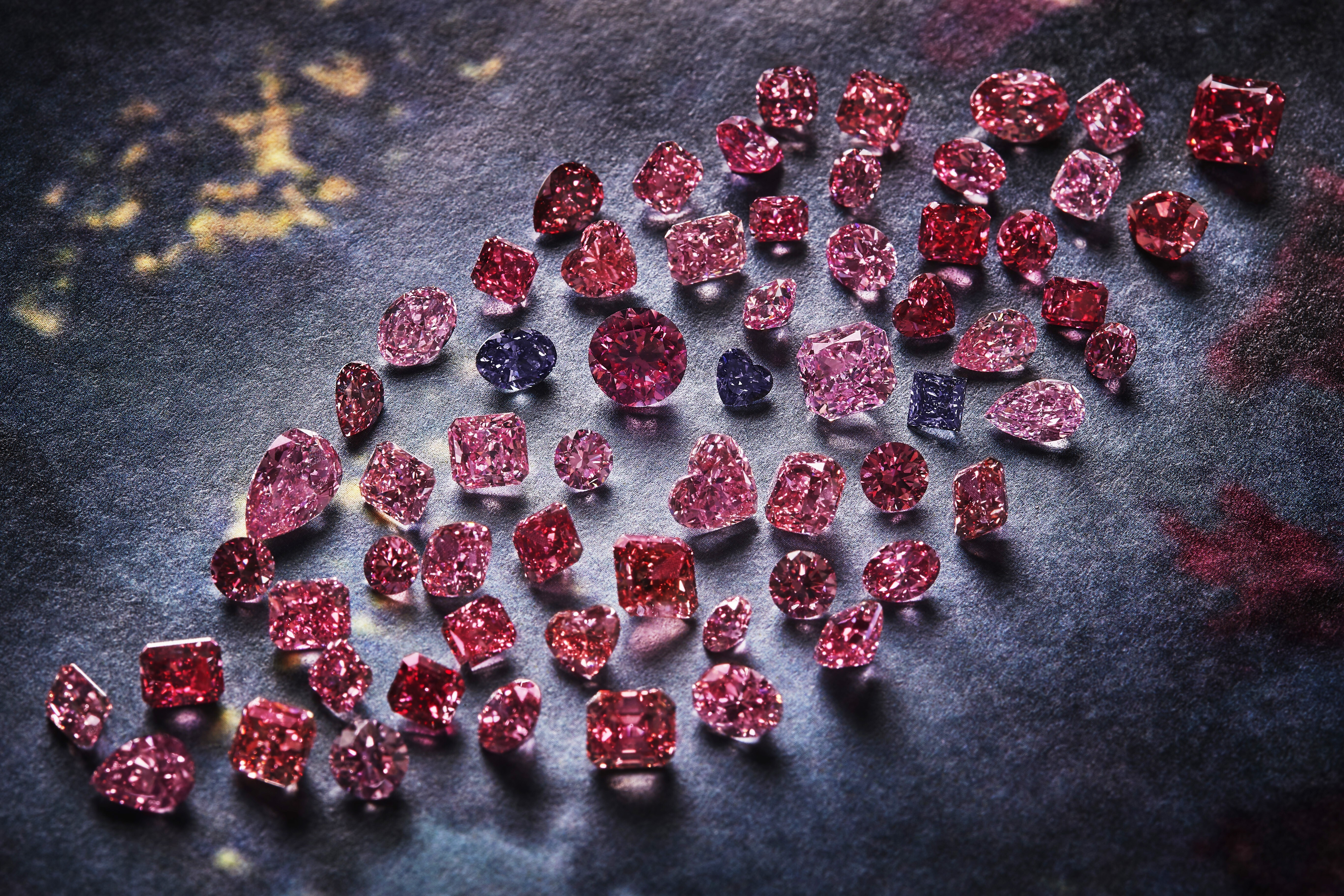 The Argyle Pink Diamonds Signature Tender 2020 collection. Photos: Argyle Pink Diamonds. Photo: Argyle Pink Diamonds