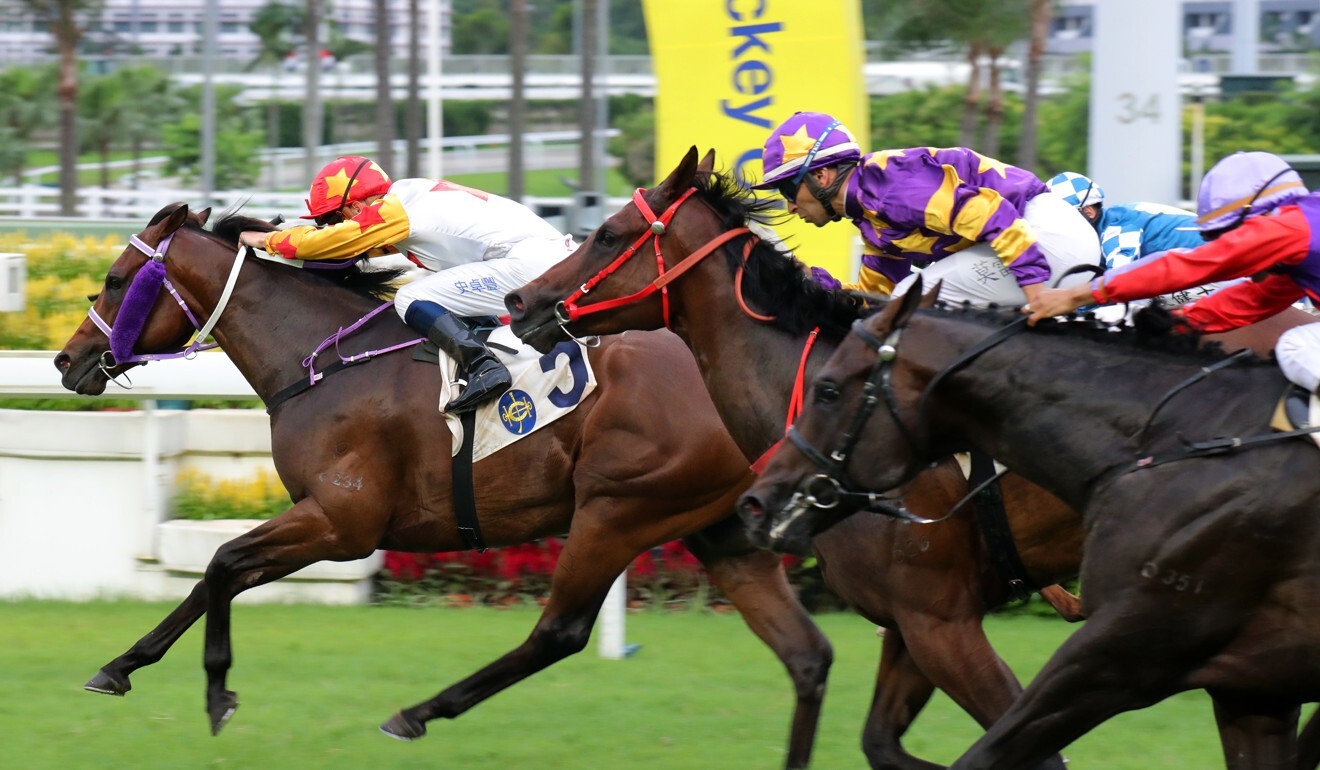 Mr Croissant holds off Lucky Express (middle) and Armando (right).