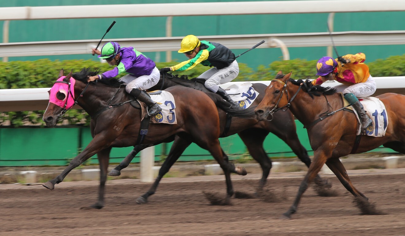 Vincent Ho drives Thou Shall Sing to victory on the dirt.