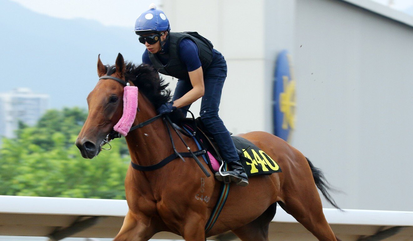 Vincent Ho works Seaweed Fortune at Sha Tin.