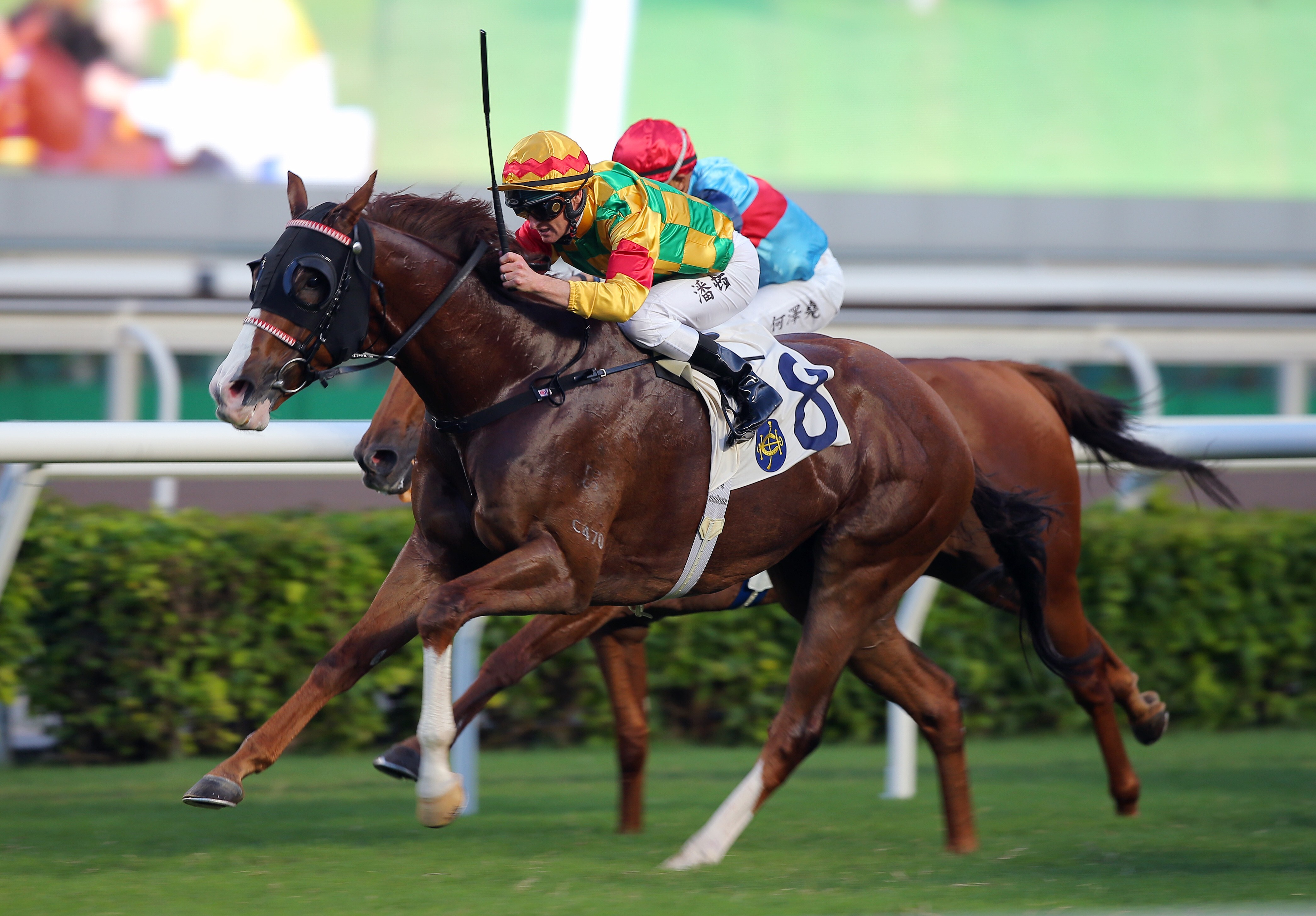 Mighty Giant dashes to victory at Sha Tin on Thursday. Photos: Kenneth Chan