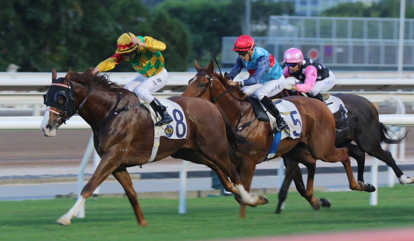 Zac Purton goes for home on Mighty Giant at Sha Tin.