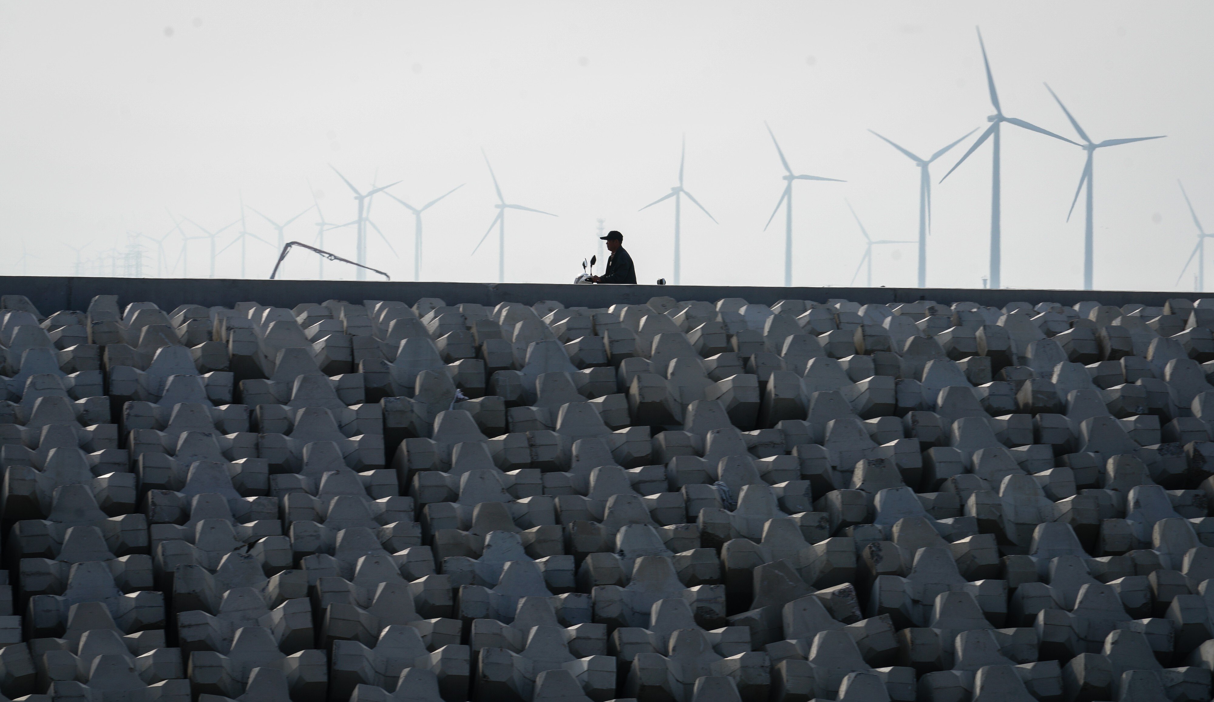 A rider passes by a wind power station in Rudong county in east China’s Jiangsu province in June 2018. The county has built 18 wind power stations containing around 800 wind turbines. Photo: Xinhua