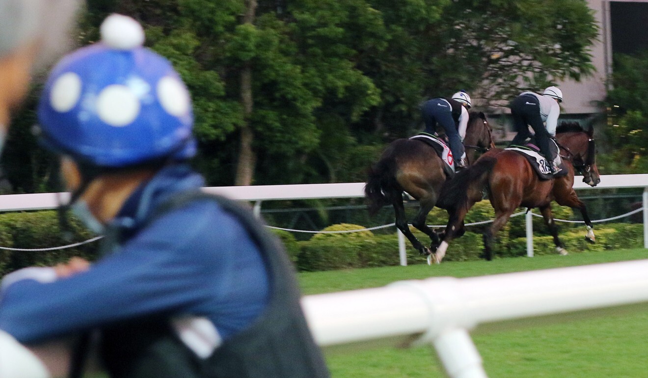 Golden Sixty’s jockey Vincent Ho watches on as Beauty Generation works with Shadow Hero.