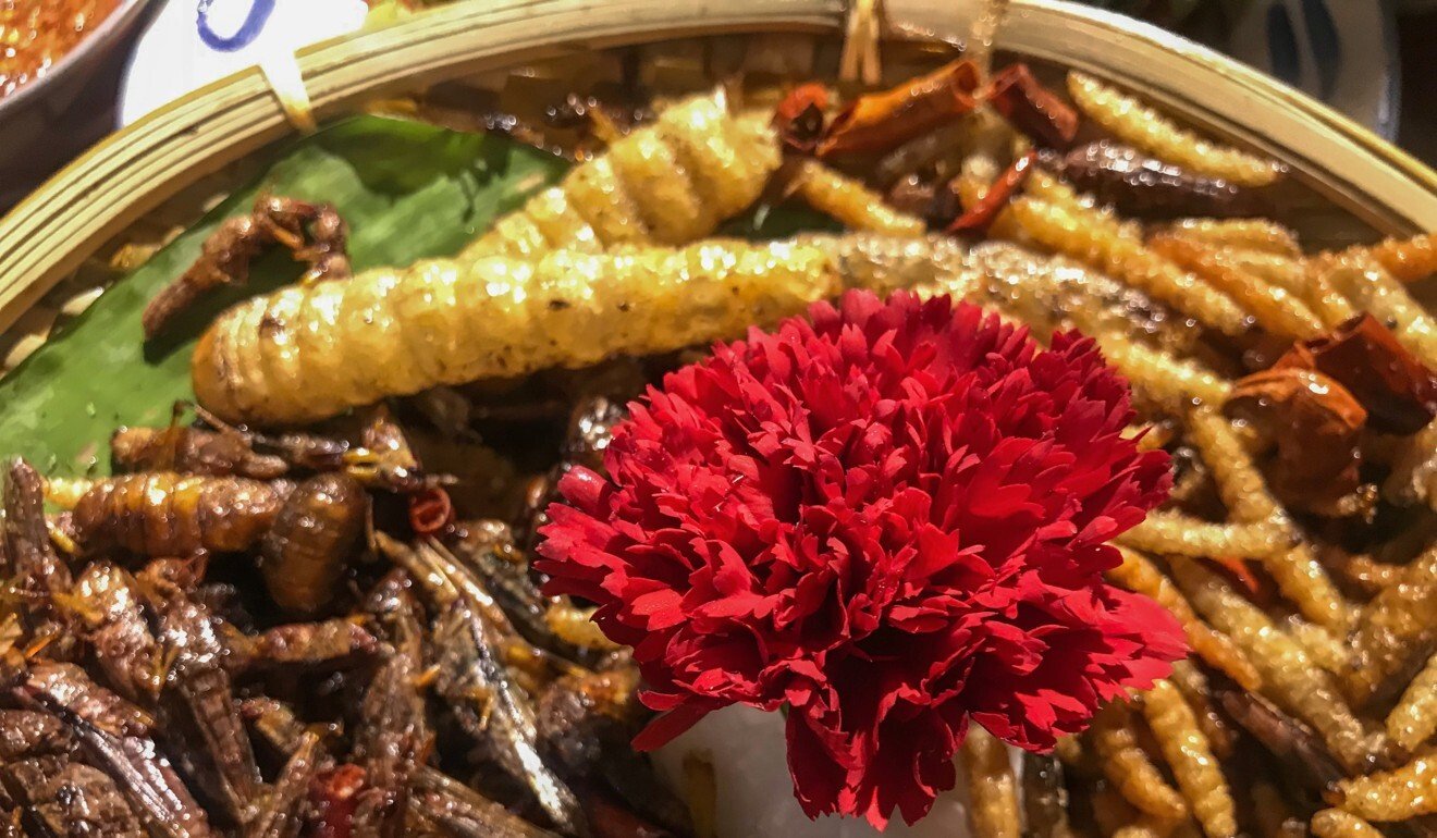 One platter offers a selection of fried insects.  Photo: Laura Zhou