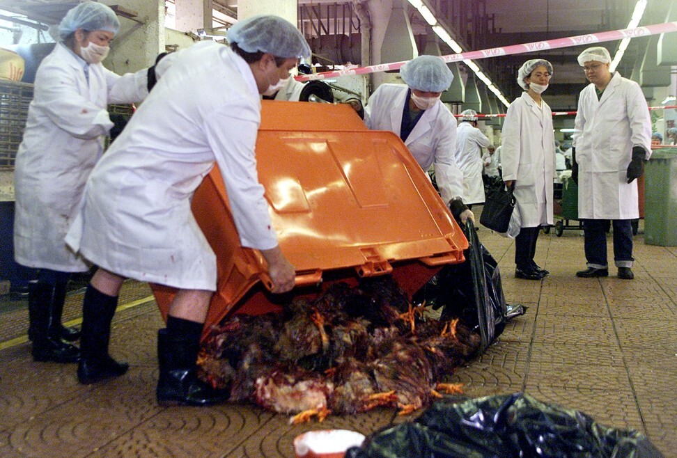 Workers empty a dumpster of dead chickens to be taken away for burial from Central Market in Hong Kong in 2001. City authorities culled 1.2 million chickens to curb the spread of H5N1 bird flu, which had first jumped the species barrier to infect humans in the city in 1997. Photo: AFP
