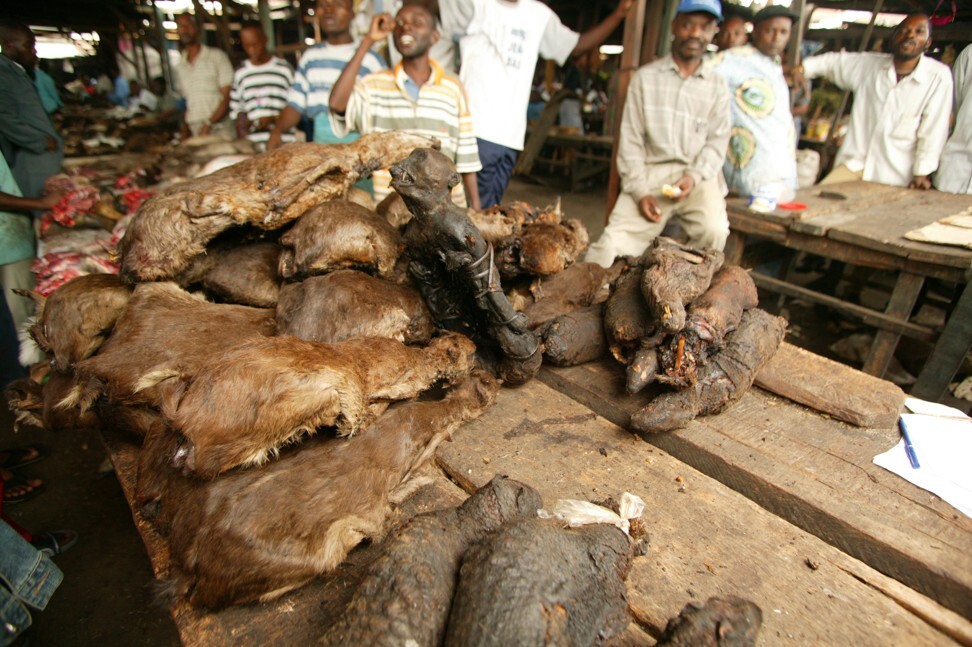 Bushmeat for sale in a market at Pointe-Noire, Republic of the Congo. Photo: AFP
