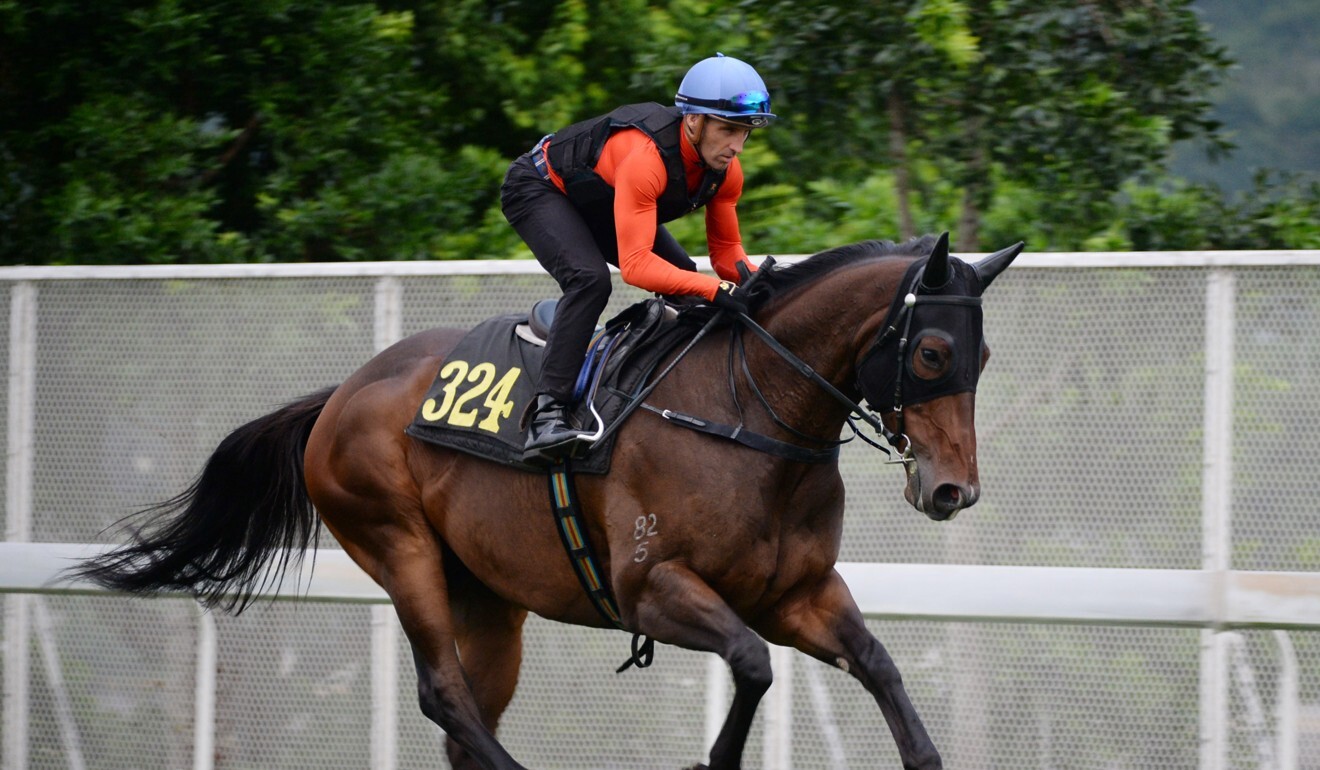 Neil Callan rides Winning Feeling in work at Sha Tin on Monday morning.