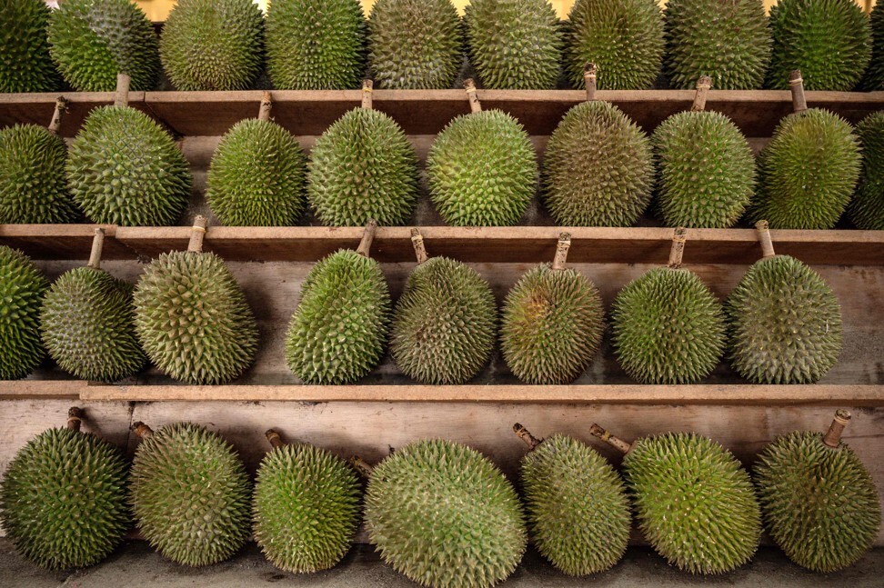 Durians on sale in Kuala Lumpur, the Malaysian capital. Photo: AFP