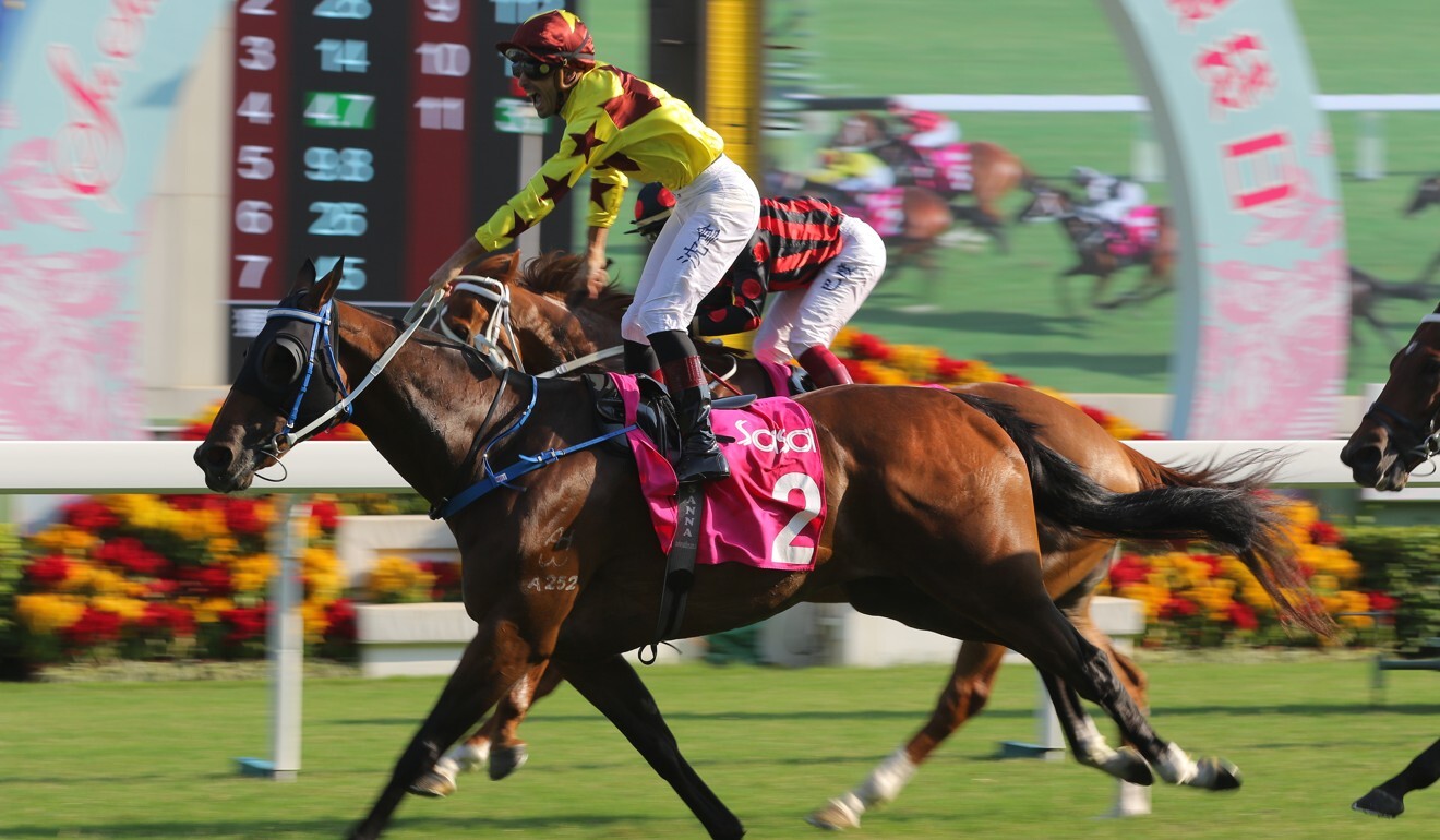 Southern Legend wins the Ladies’ Purse last season.