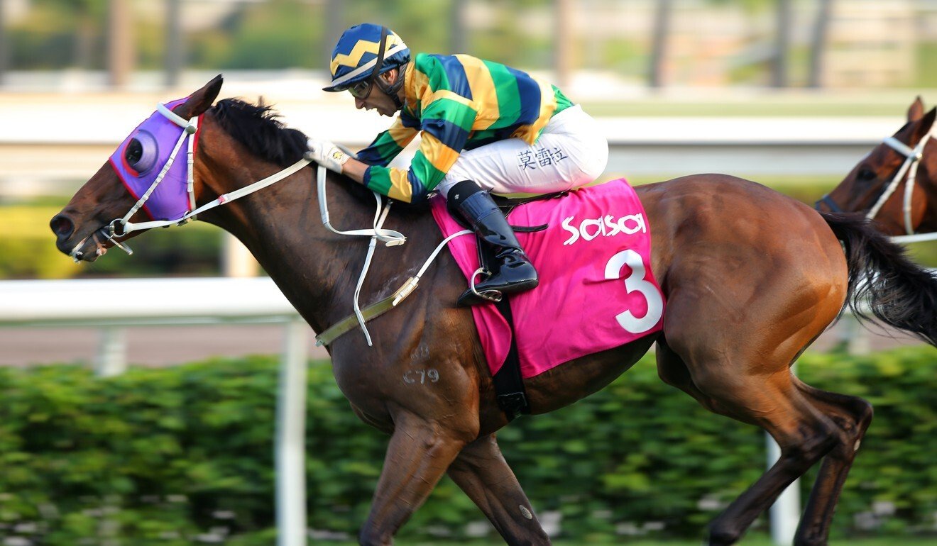 Furore charges to victory at Sha Tin.