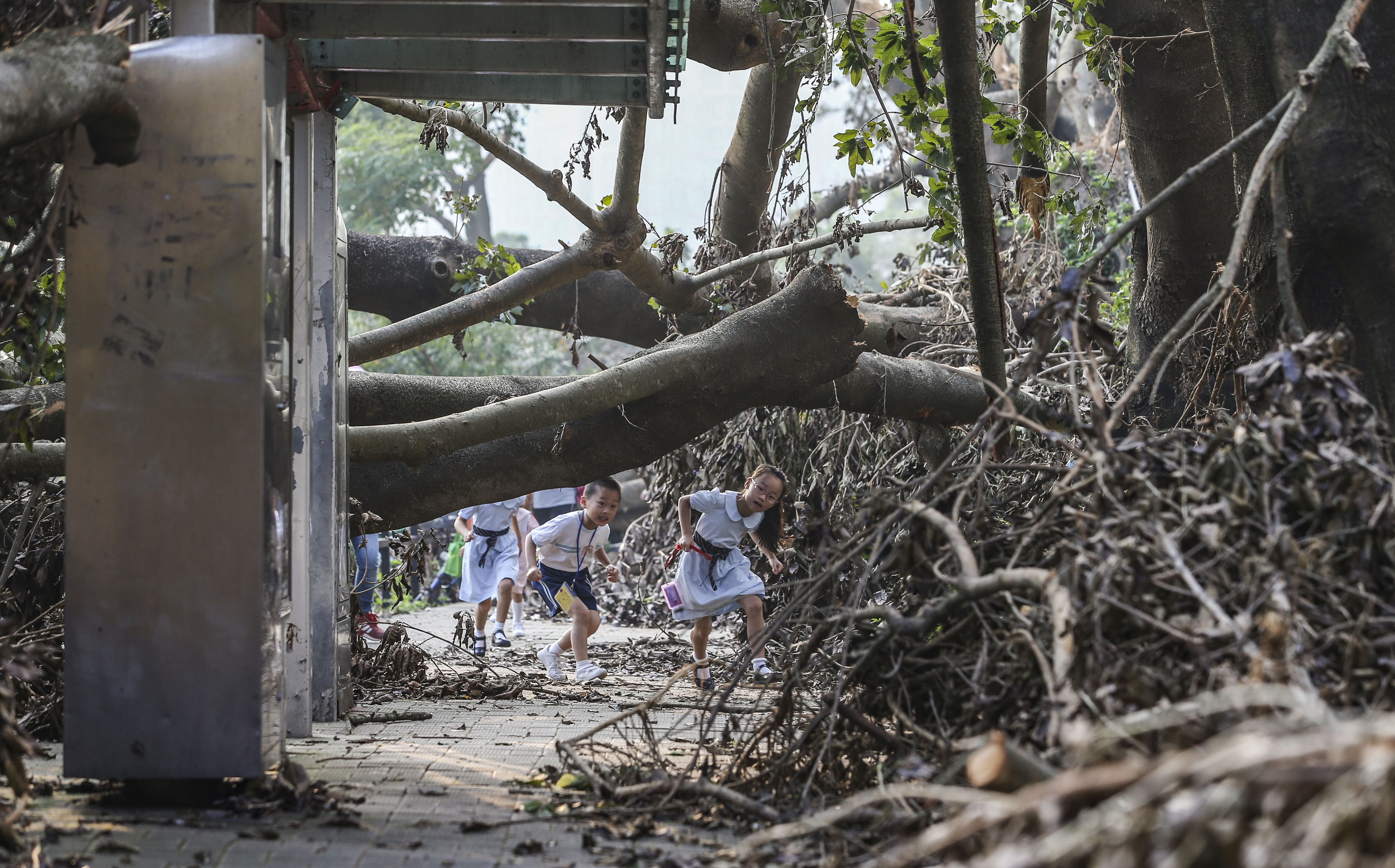 Hong Kong children make their way through trees felled by Typhoon Mangkhut, in Sheung Shui on September 20, 2018. Typhoon Mangkhut, which required the signal No 10 to stay in place for 10 hours on September 16, was the most powerful storm to hit the city since records began in 1946. Photo: Sam Tsang