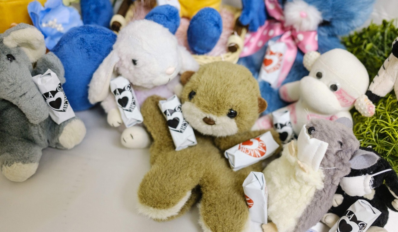From eye surgery to hair transplants, Japan ‘clinic’ treats stuffed ...