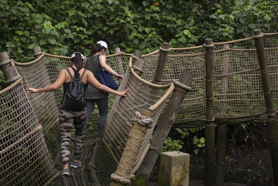 The Mud Experience takes visitors across a tidal pond, home to mudskippers. Photo: Scott A. Woodward