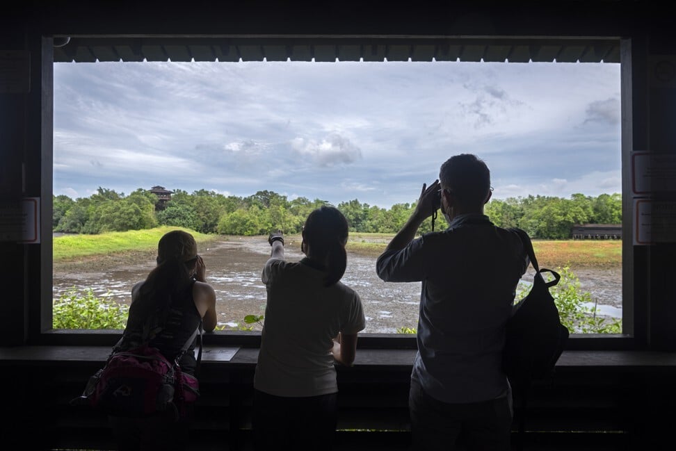 Numerous bird hides overlook the central tidal pools. Photo: Scott A. Woodward