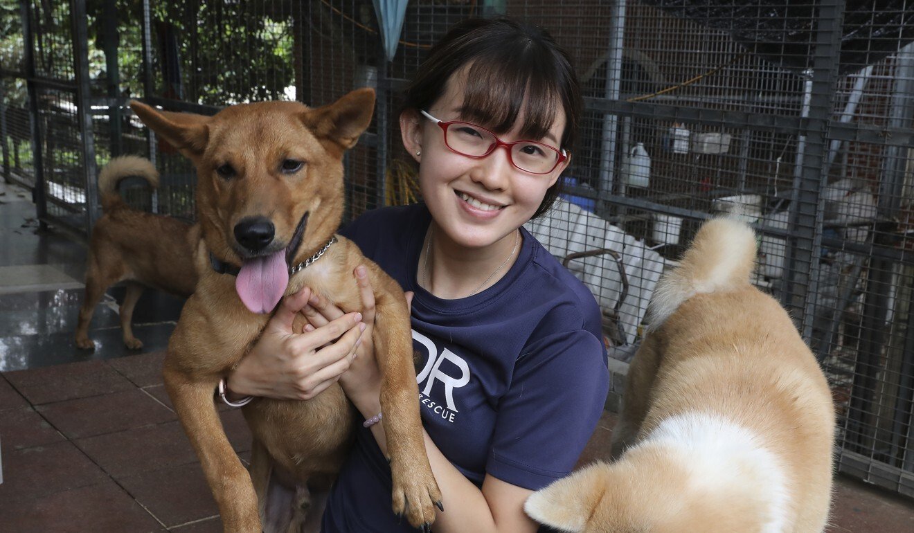 More animals dumped, abused amid Covid-19 pandemic in Hong Kong as