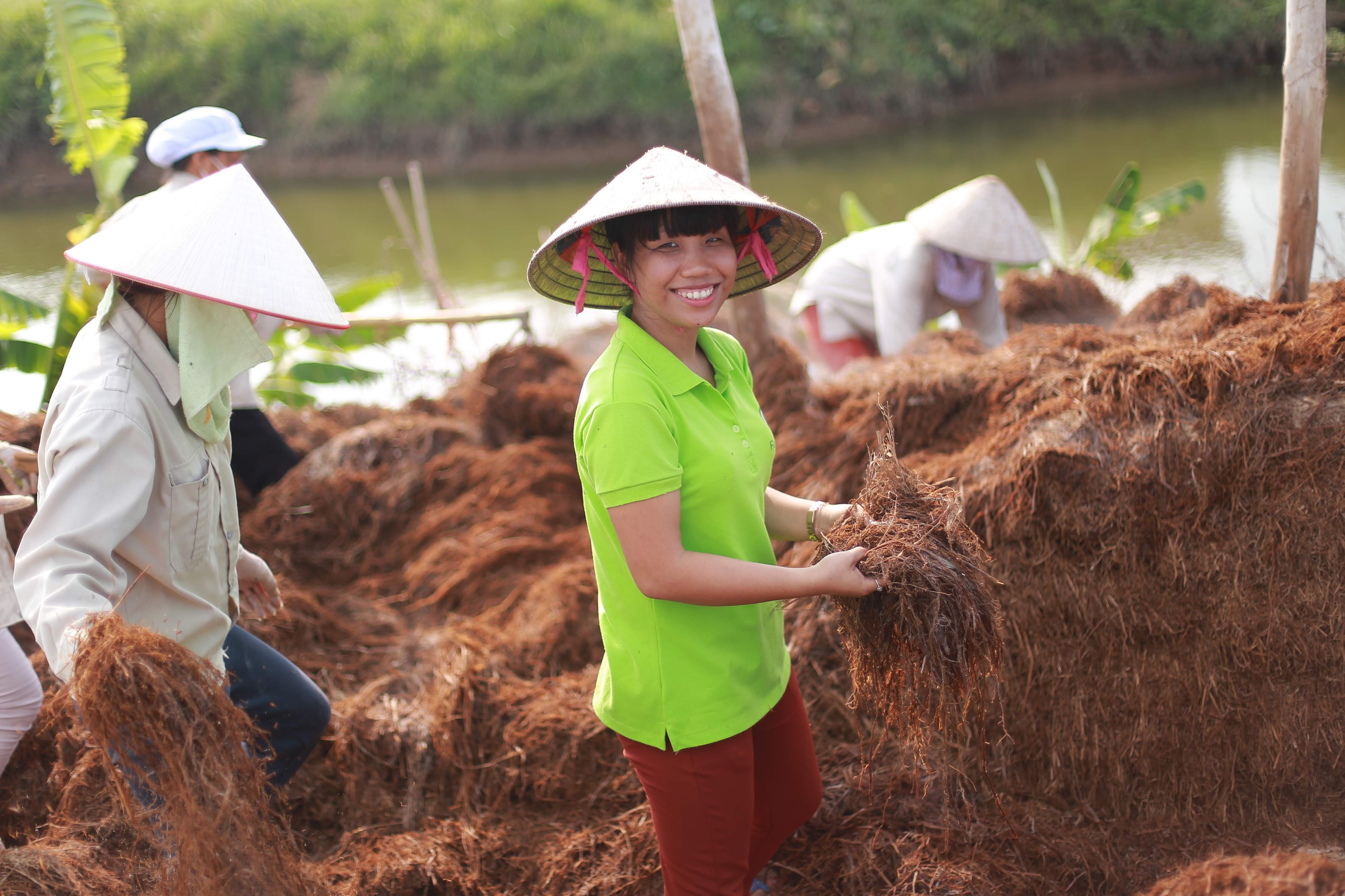 Tran Thi Khanh Trang harvesting rice straw in northern Vietnam. Photo: Far Green