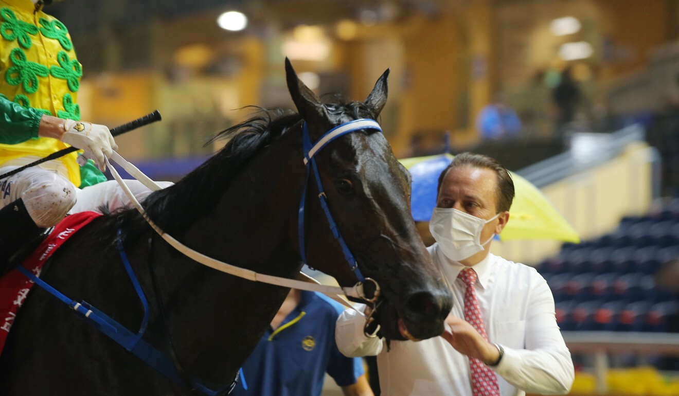 Caspar Fownes looks over Sky Darci after his win at Happy Valley.