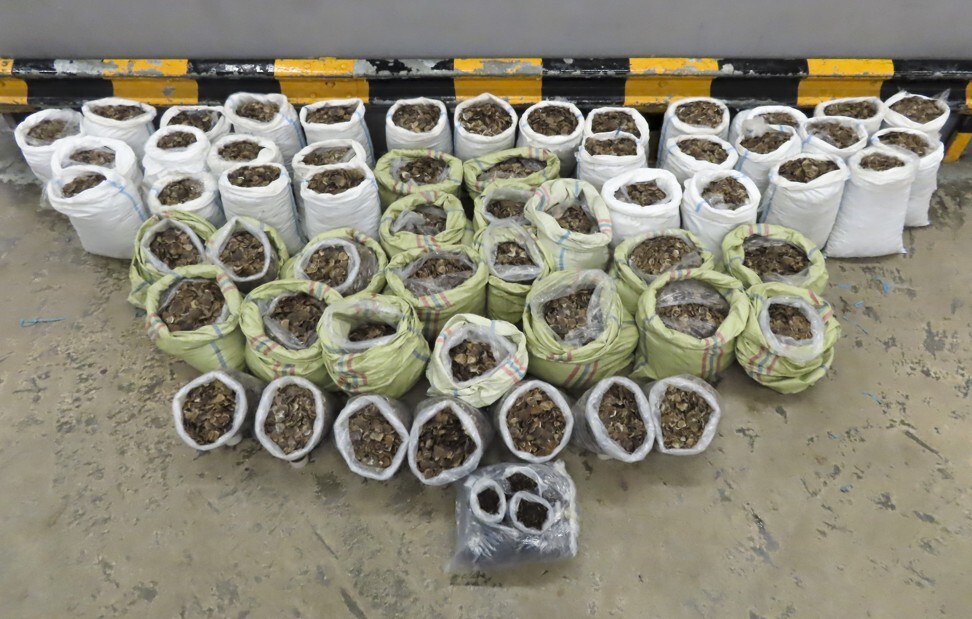 An illegal wildlife shipment seized by Hong Kong Customs. Photo: ISD