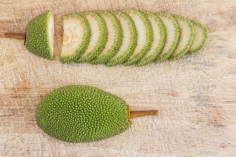 How green jackfruit flour can help with type 2 diabetes, and reduce