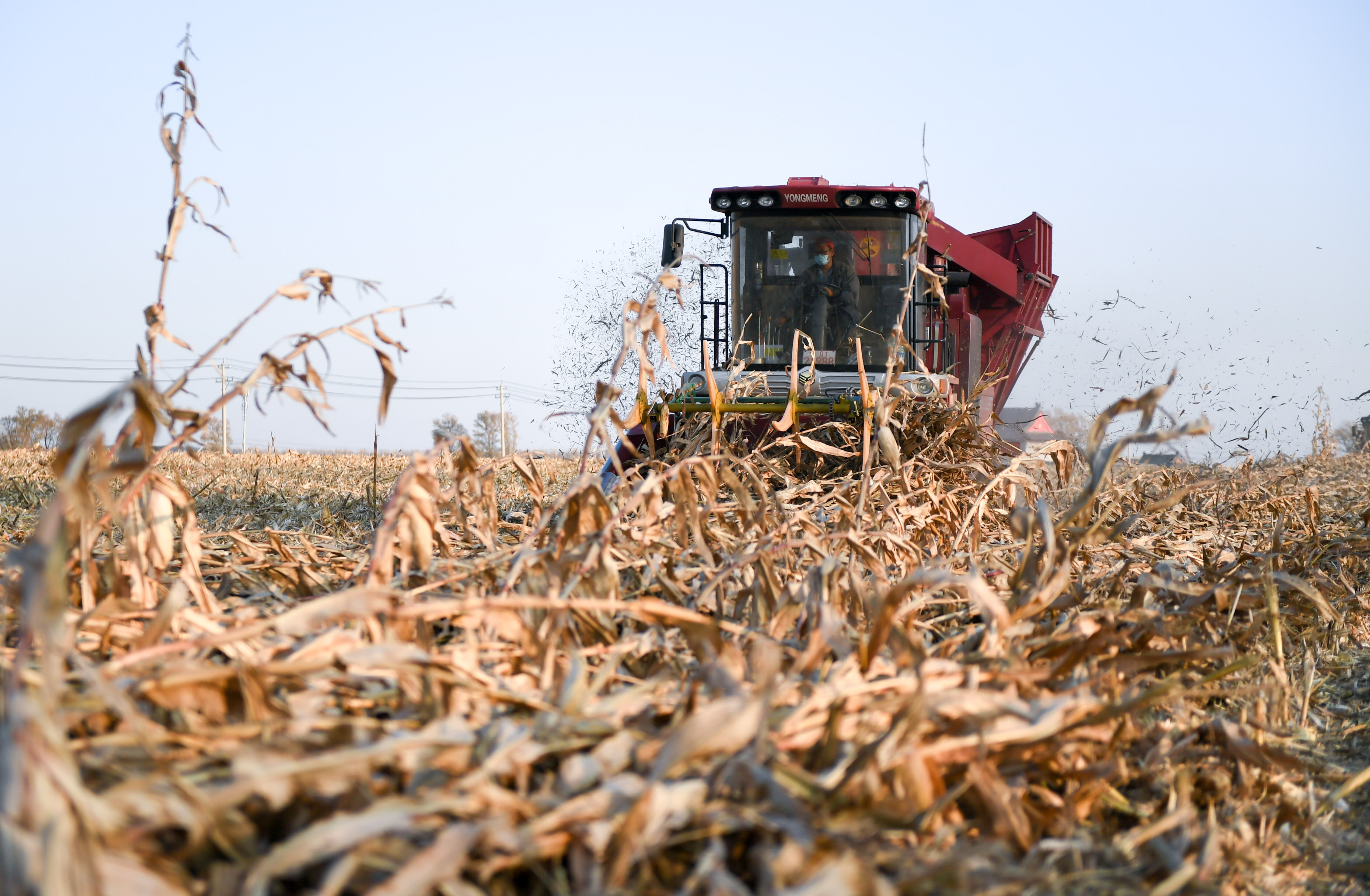 New method makes starch from CO₂ faster than plants can