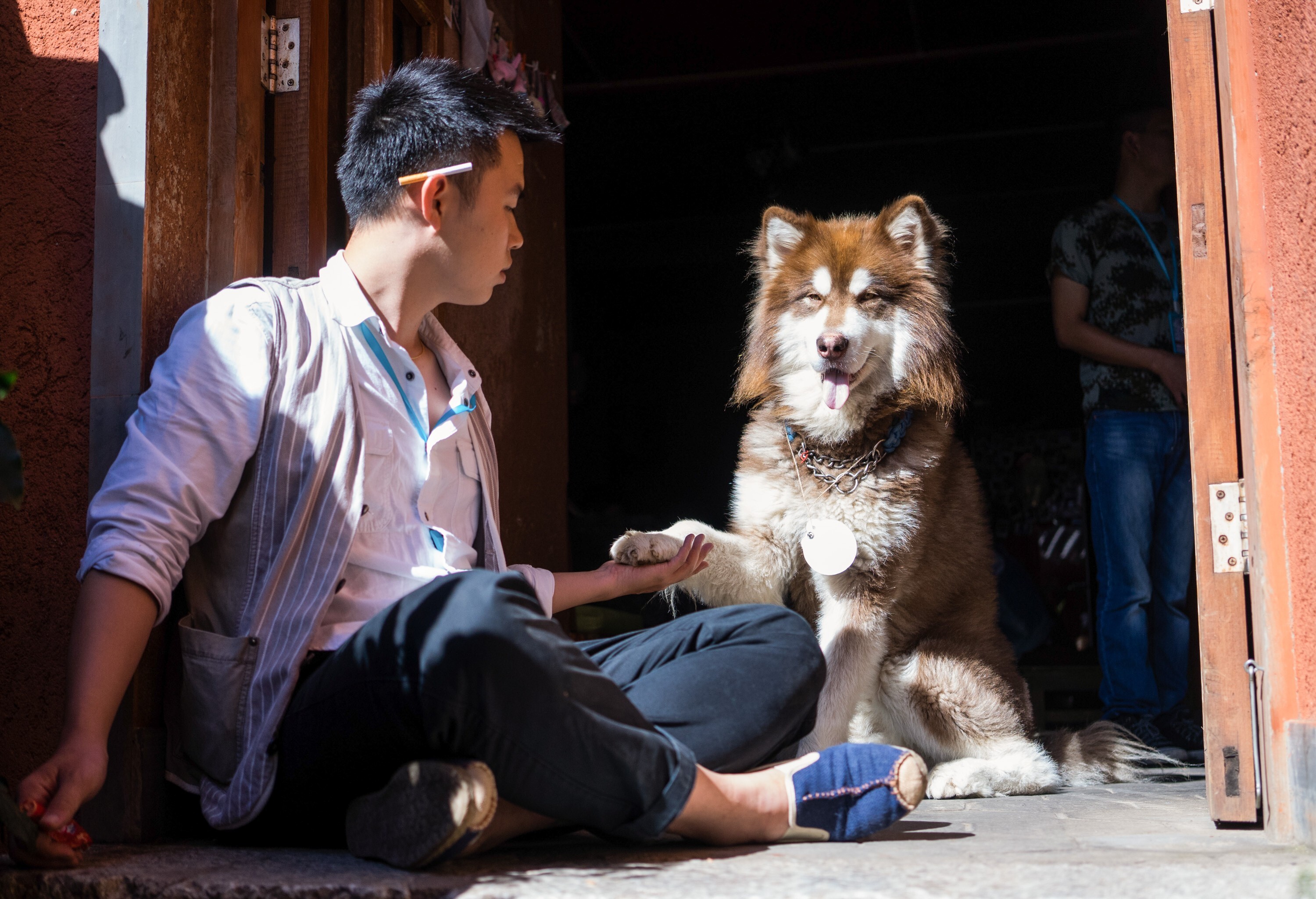 A man with an Alaskan malamute in Lijiang, Yunnan province. Some people are worried about the growing number of pets in Chinese cities. Photo: Getty Images
