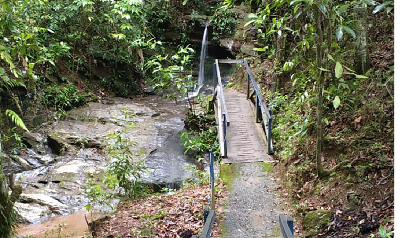 A bridge leading to the site where police report they recovered the body of Japanese woman Hitomi Akamatsu in Abadiania, Brazil. Photo: AP