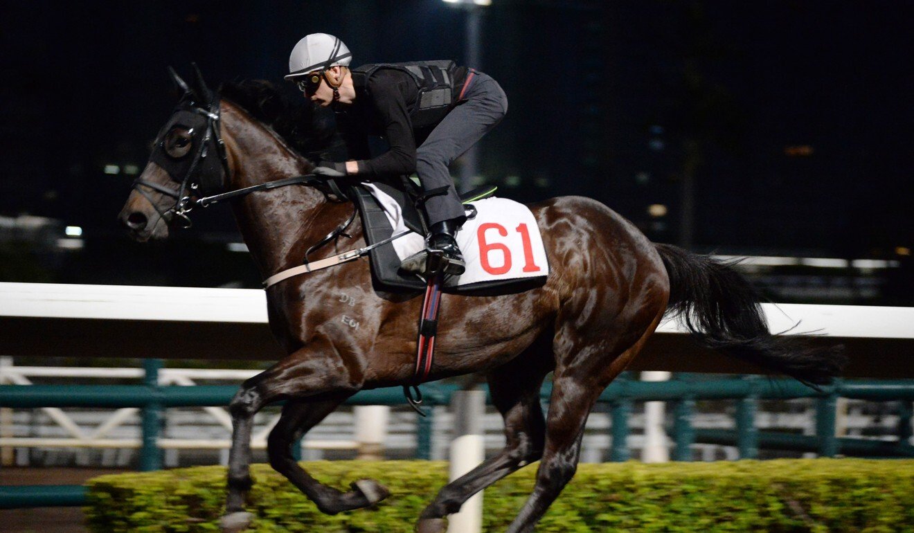 Harmony N Blessed works at Sha Tin.