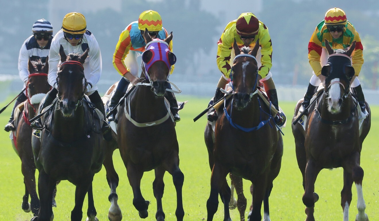 Horses hit the line in the Jockey Club Mile.