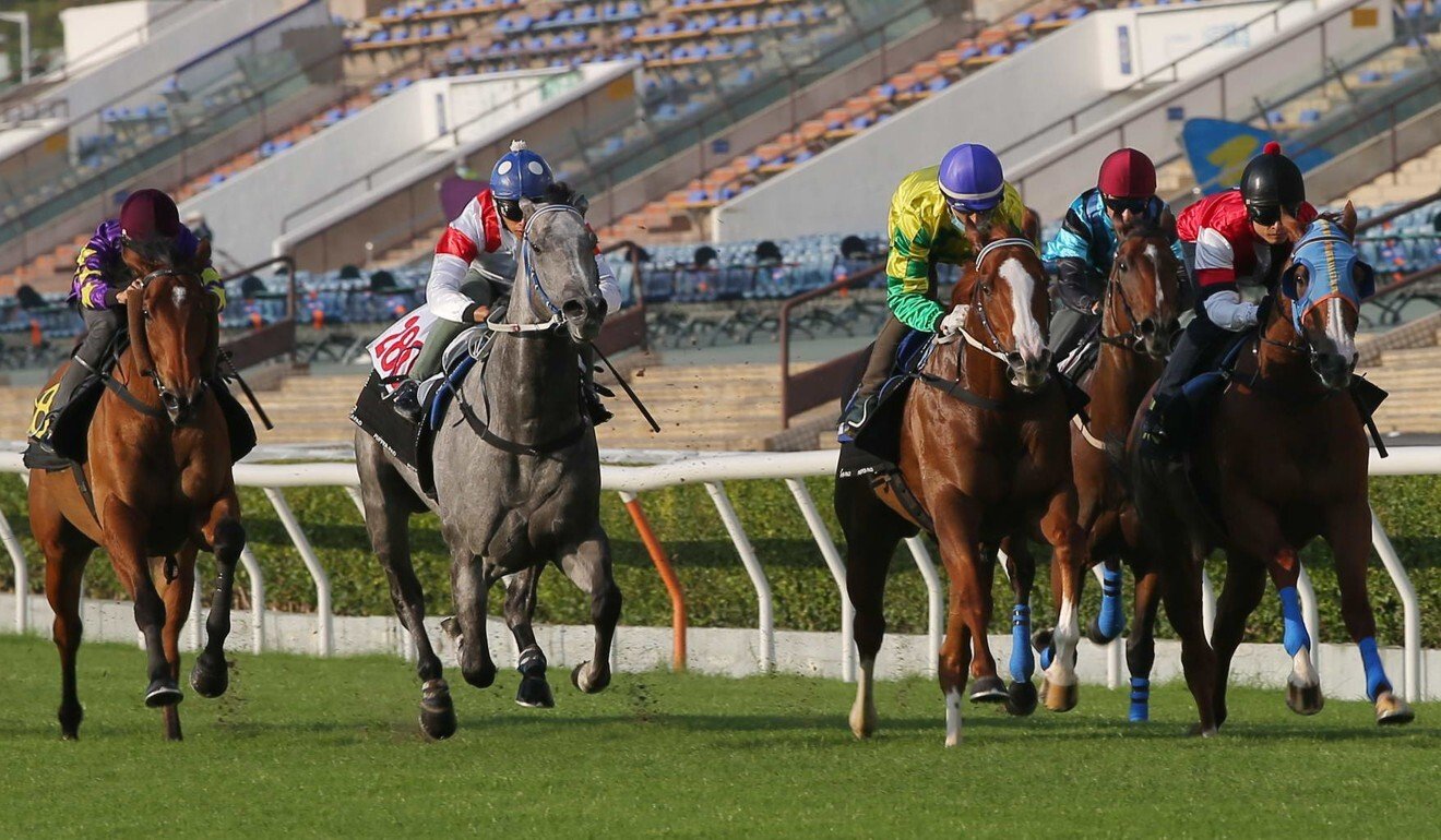 Classique Legend (middle) chases home Sky Field (right) during his trial at Sha Tin on Tuesday.