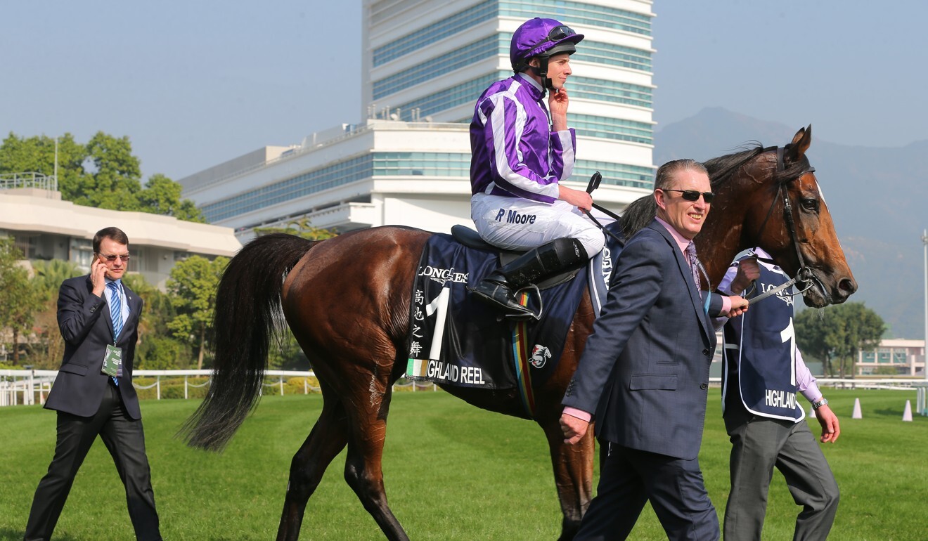 Highland Reel after winning the 2017 Hong Kong Vase. Photo: Kenneth Chan