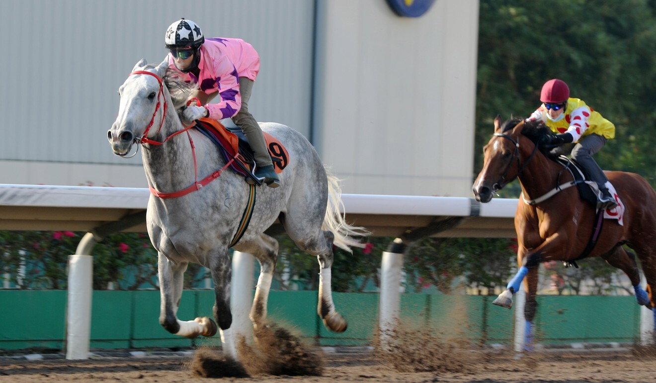 Hot King Prawn salutes in a trial on Friday morning.