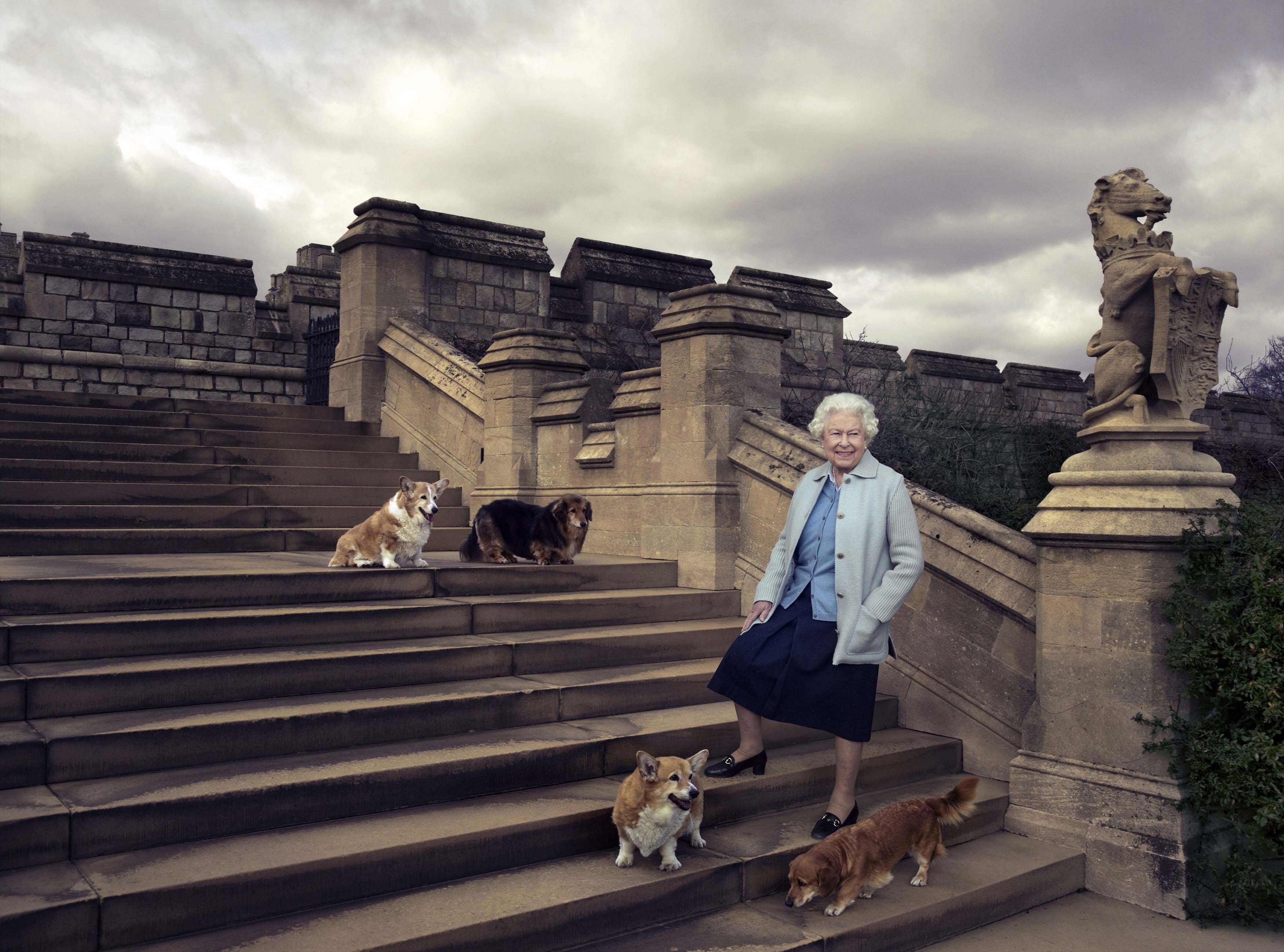 In this official photograph released by Buckingham Palace in 2016 to mark her 90th birthday, Queen Elizabeth is seen in the grounds of Windsor Castle with four of her dogs. Photo: AP