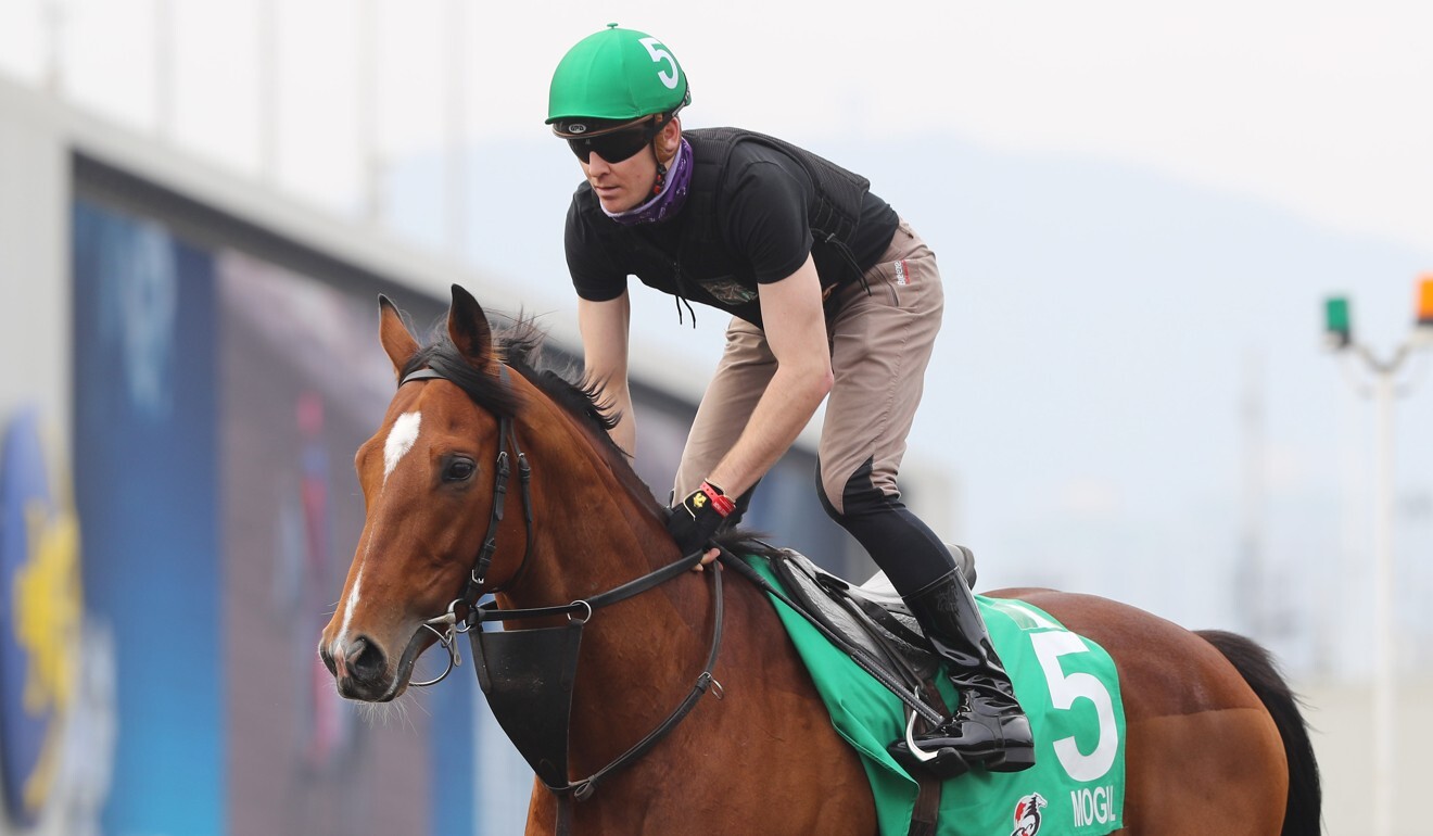 Mogul works at Sha Tin ahead of the Hong Kong Vase.