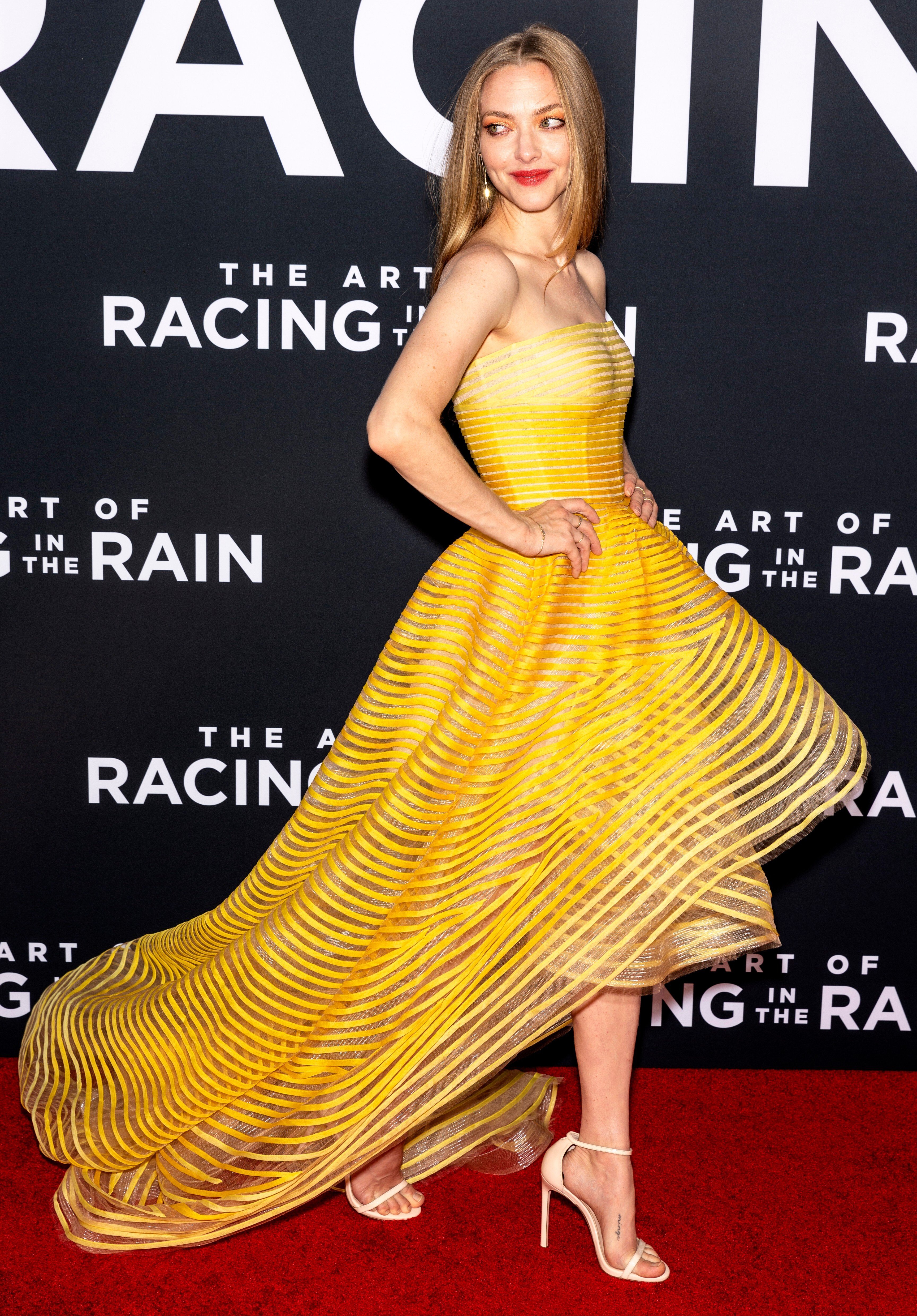 Amanda Seyfried attends the premiere of The Art of Racing in the Rain in 2019. Photo: Shutterstock