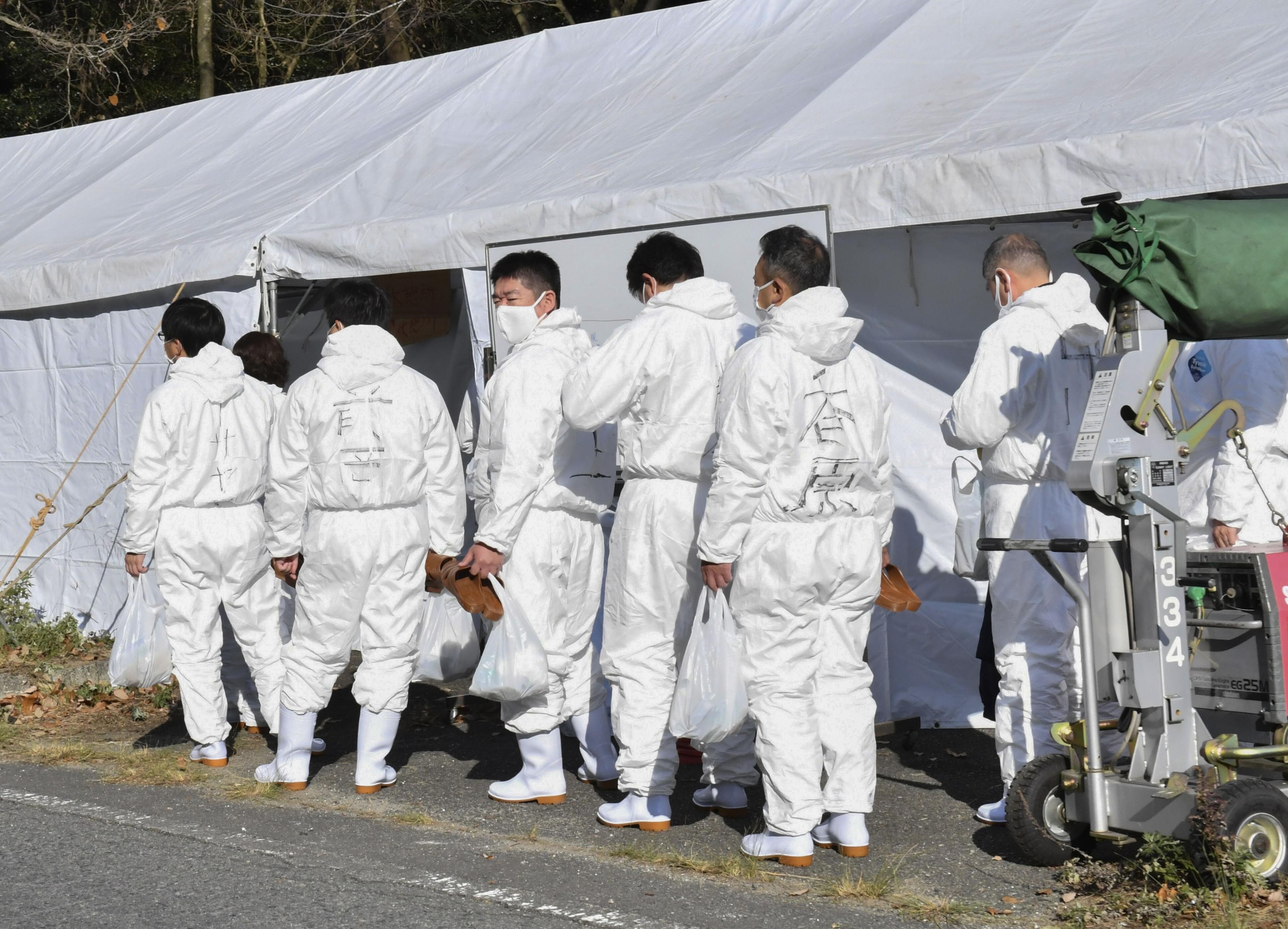 Officials in protective suits are pictured in Mihara in Hiroshima Prefecture ahead of the culling of thousands of chickens at a farm where an outbreak of bird flu was confirmed. Photo: Kyodo