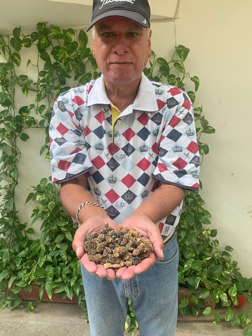 Rakesh Handa shows the morels he found in the forests near his apple orchards in Himachal Pradesh in India. Photo: Rakesh Handa