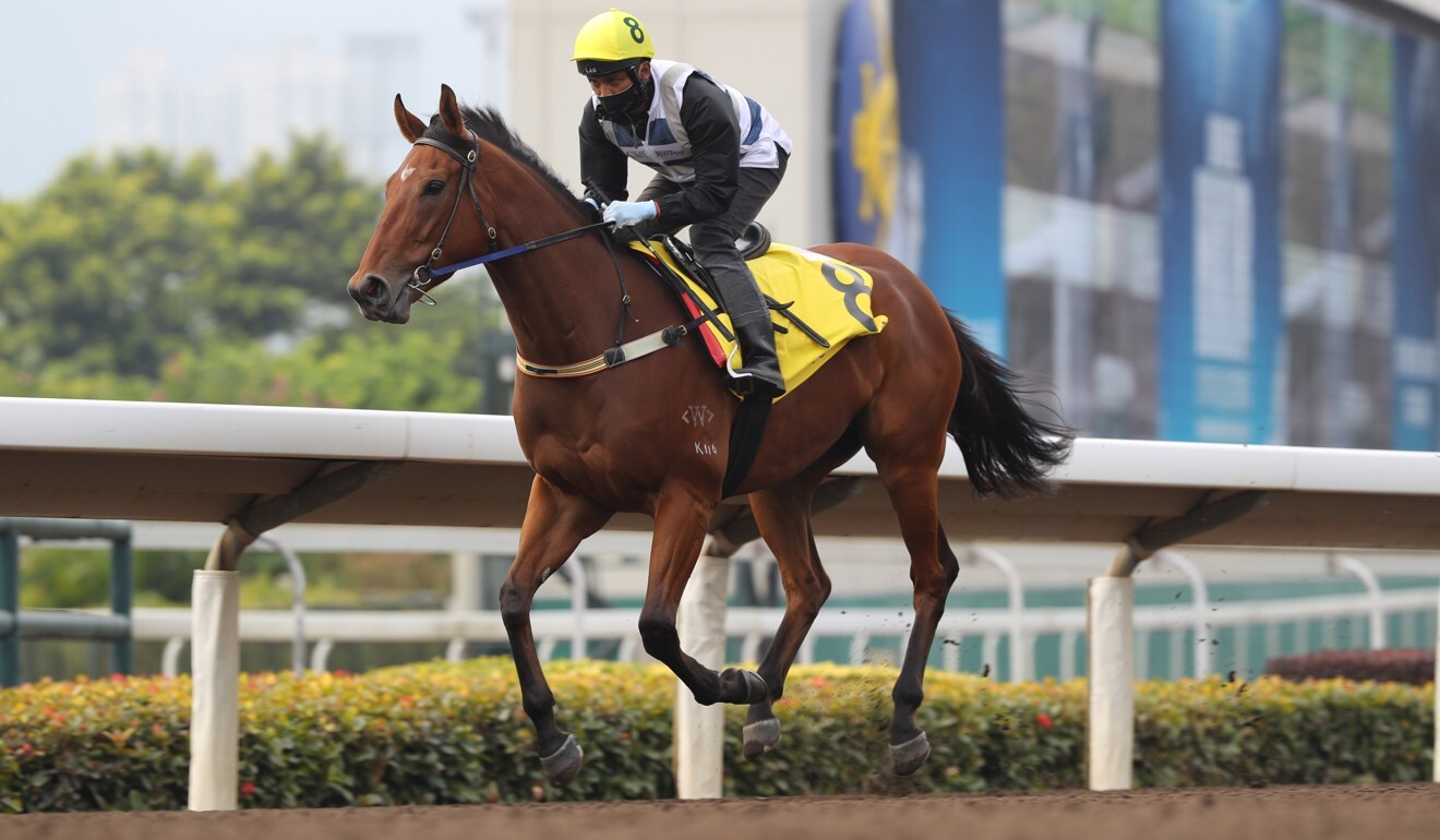 Inferno has a look at Sha Tin. Photo: Kenneth Chan