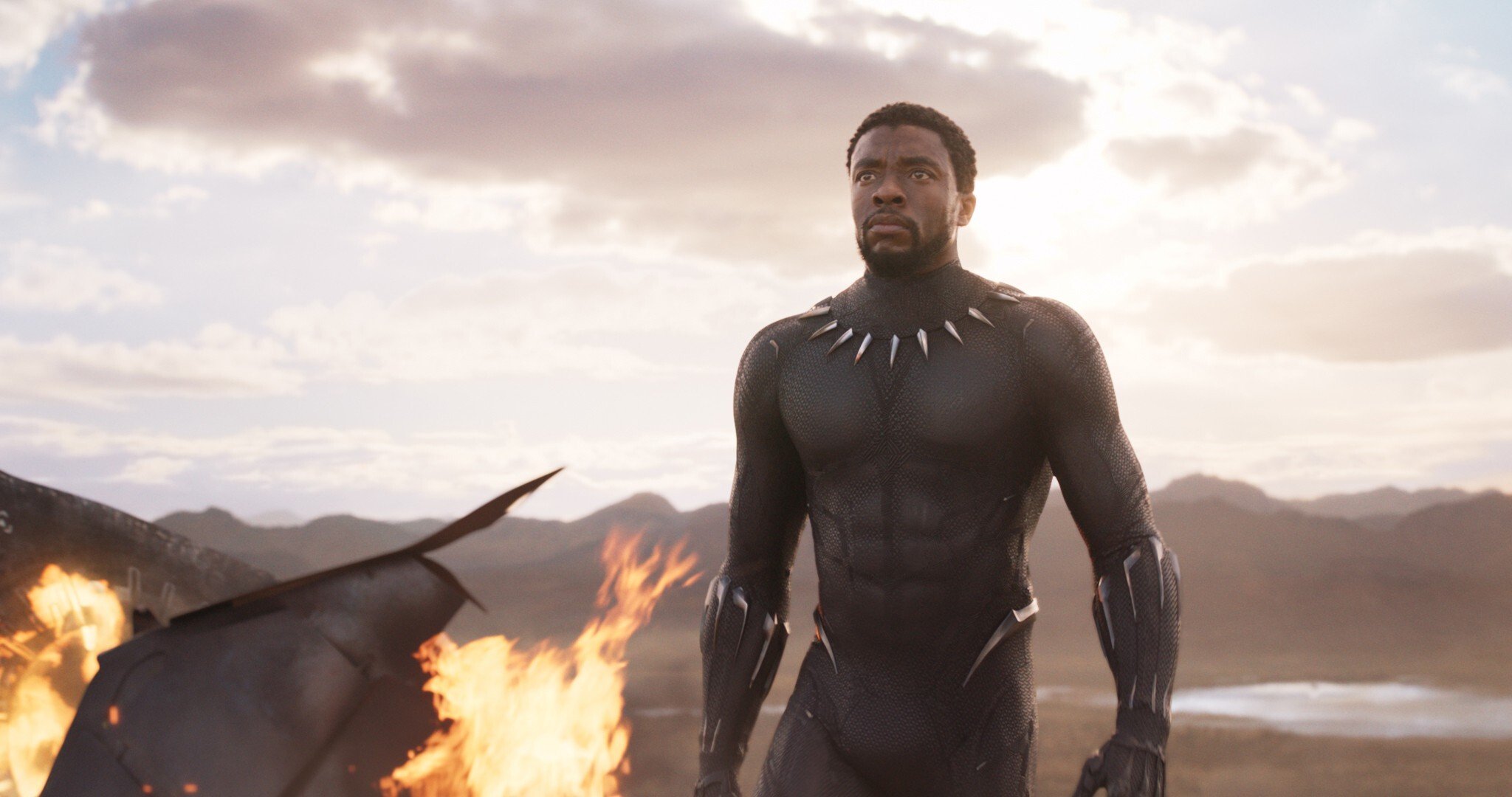 Chadwick Boseman in a still from Black Panther.