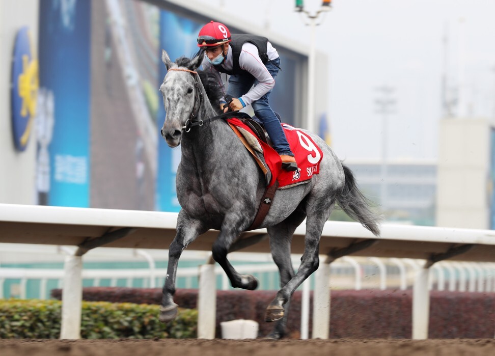 Skalleti gallops at Sha Tin this week. Photo: Kenneth Chan