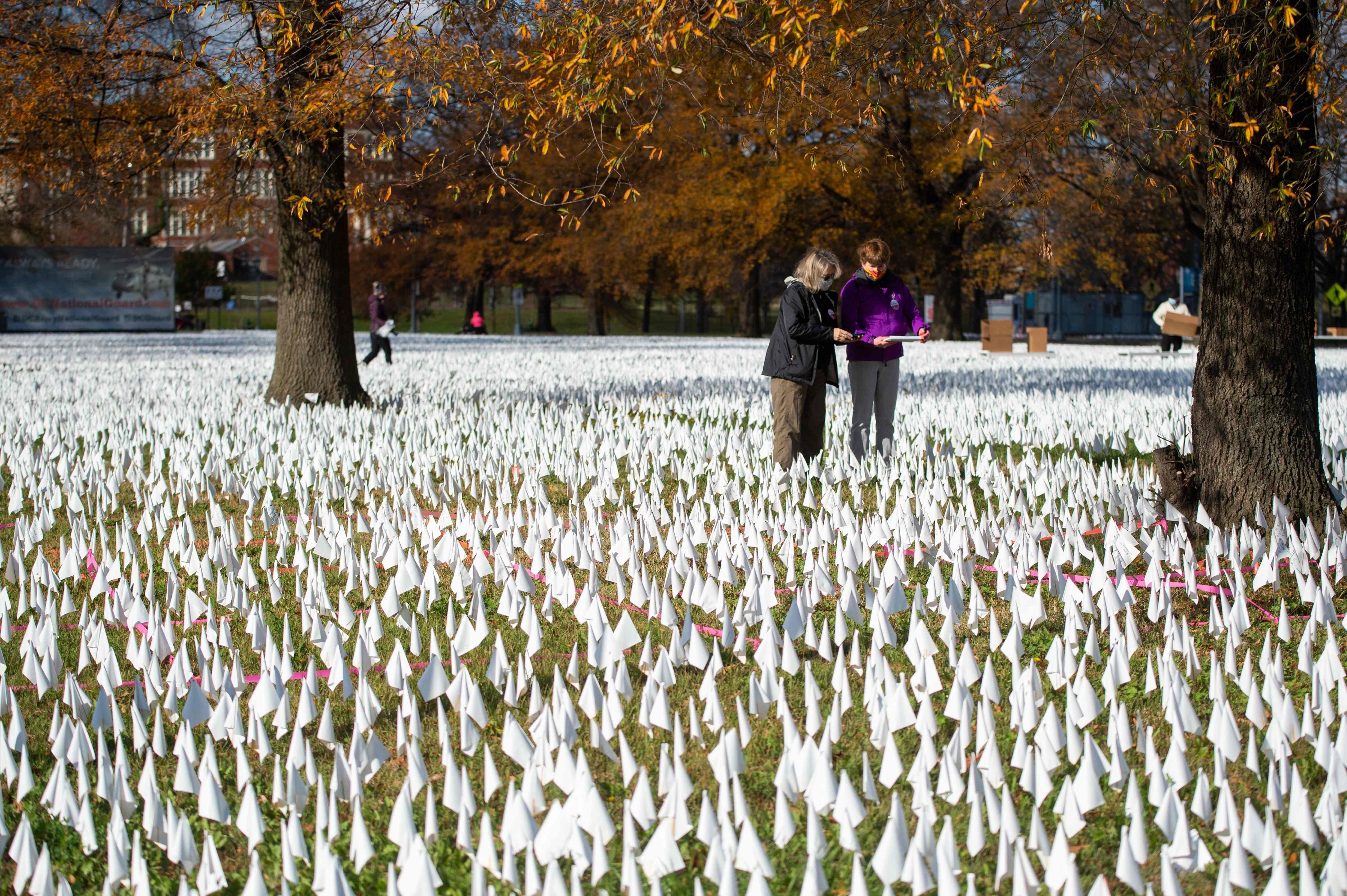 People are surrounded by a sea of white flags planted in memory of coronavirus victims in an art installation titled “In America how could this happen...” in Washington on December 1. Photo: AFP