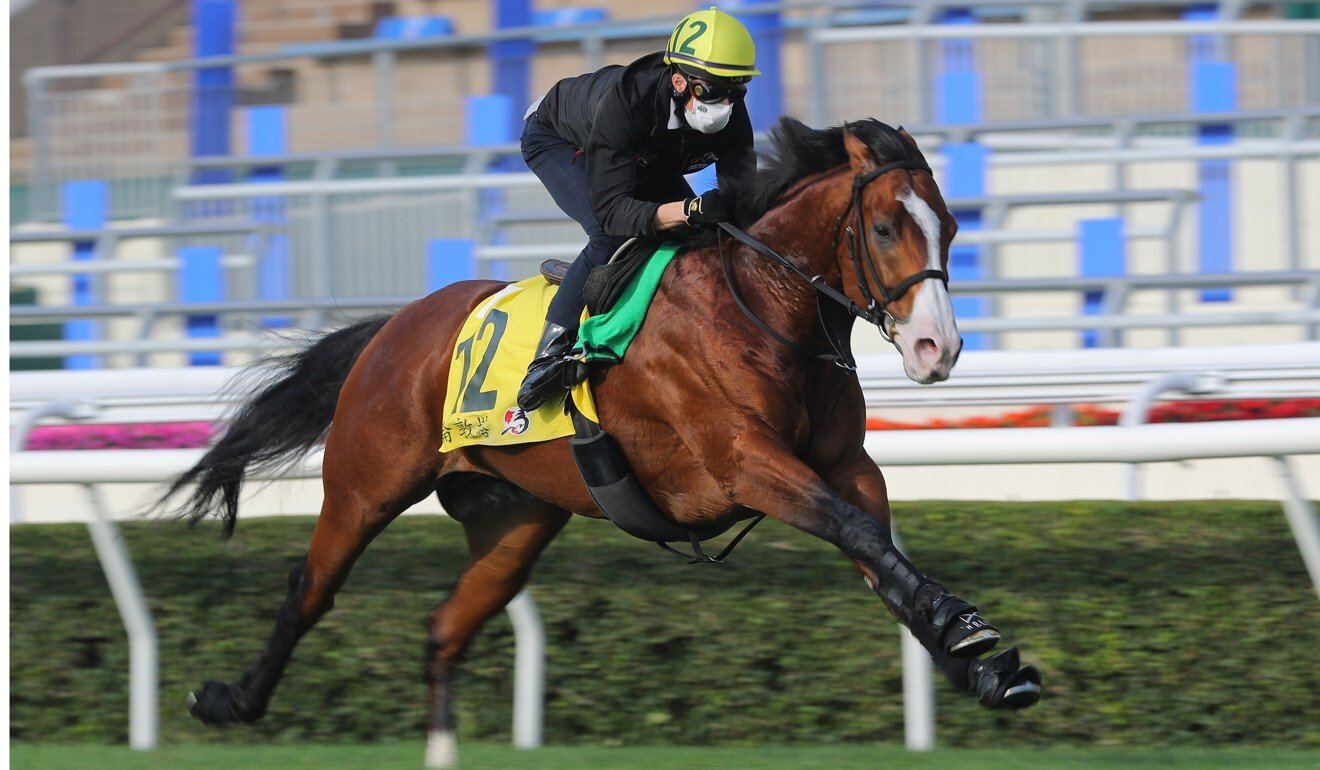 William Buick gallops Tower Of London at Sha Tin on Thursday morning. Photo: Kenneth Chan