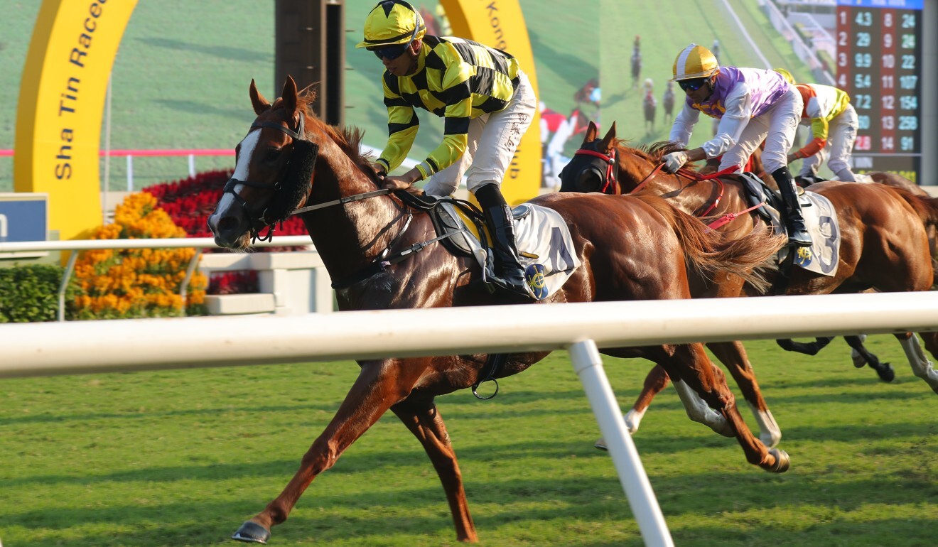 Stronger wins over 1,000m at Sha Tin on November 1.